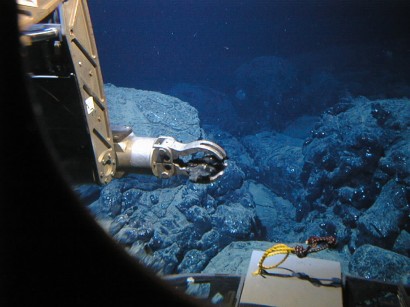 undersea photo of sample 3359-5
