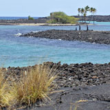 Image of ground water flow into bay.