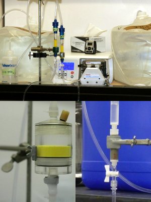 Ion-exchangers in a column