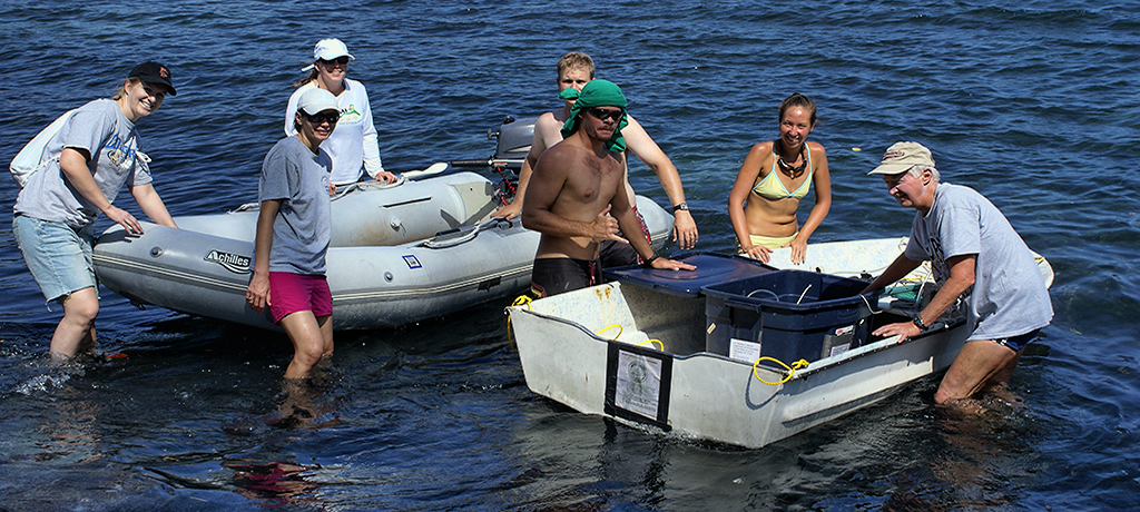 Water Sampling at Kiholo Bay-