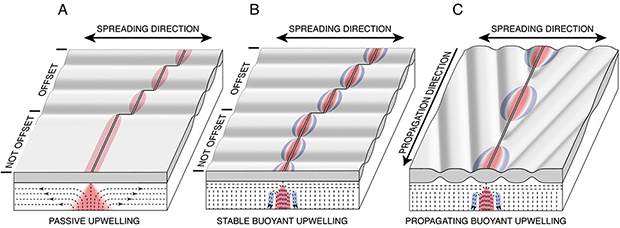 Crustal segmentation and mantle upwelling