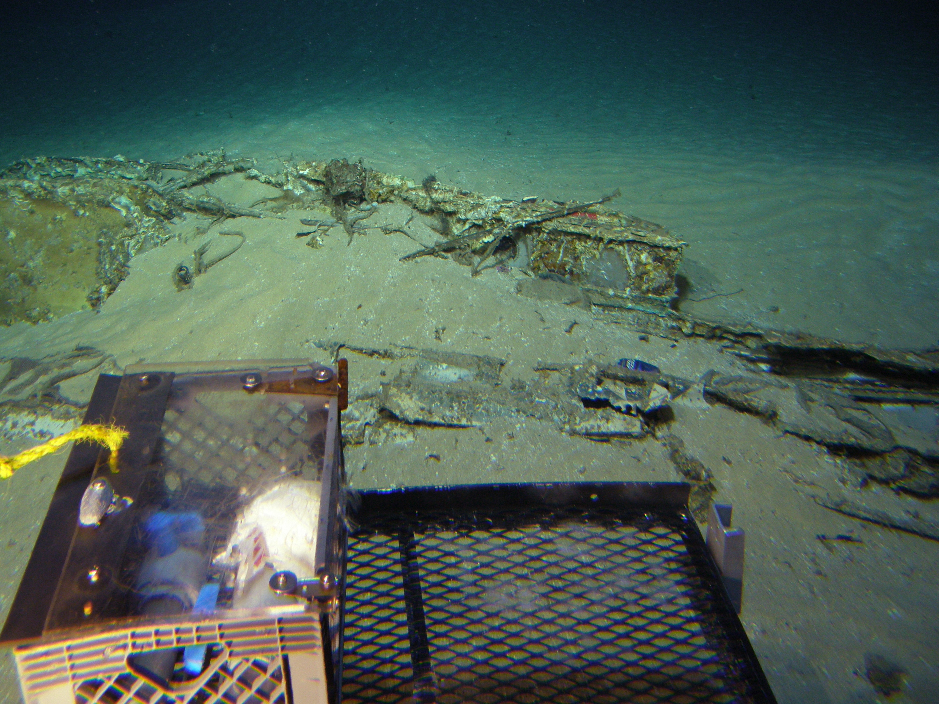 Survey: Engine, wing root and wreckage