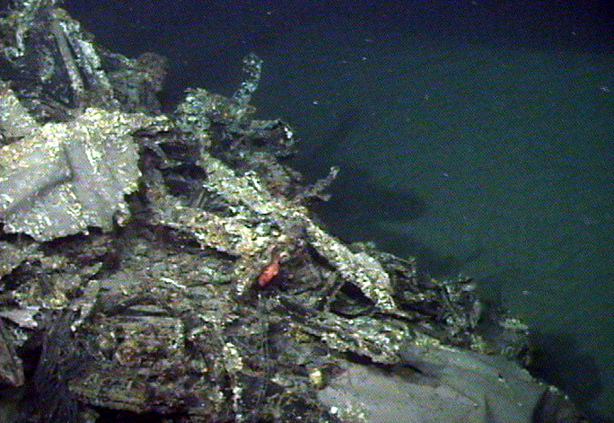 Survey: Engine, wing root and wreckage