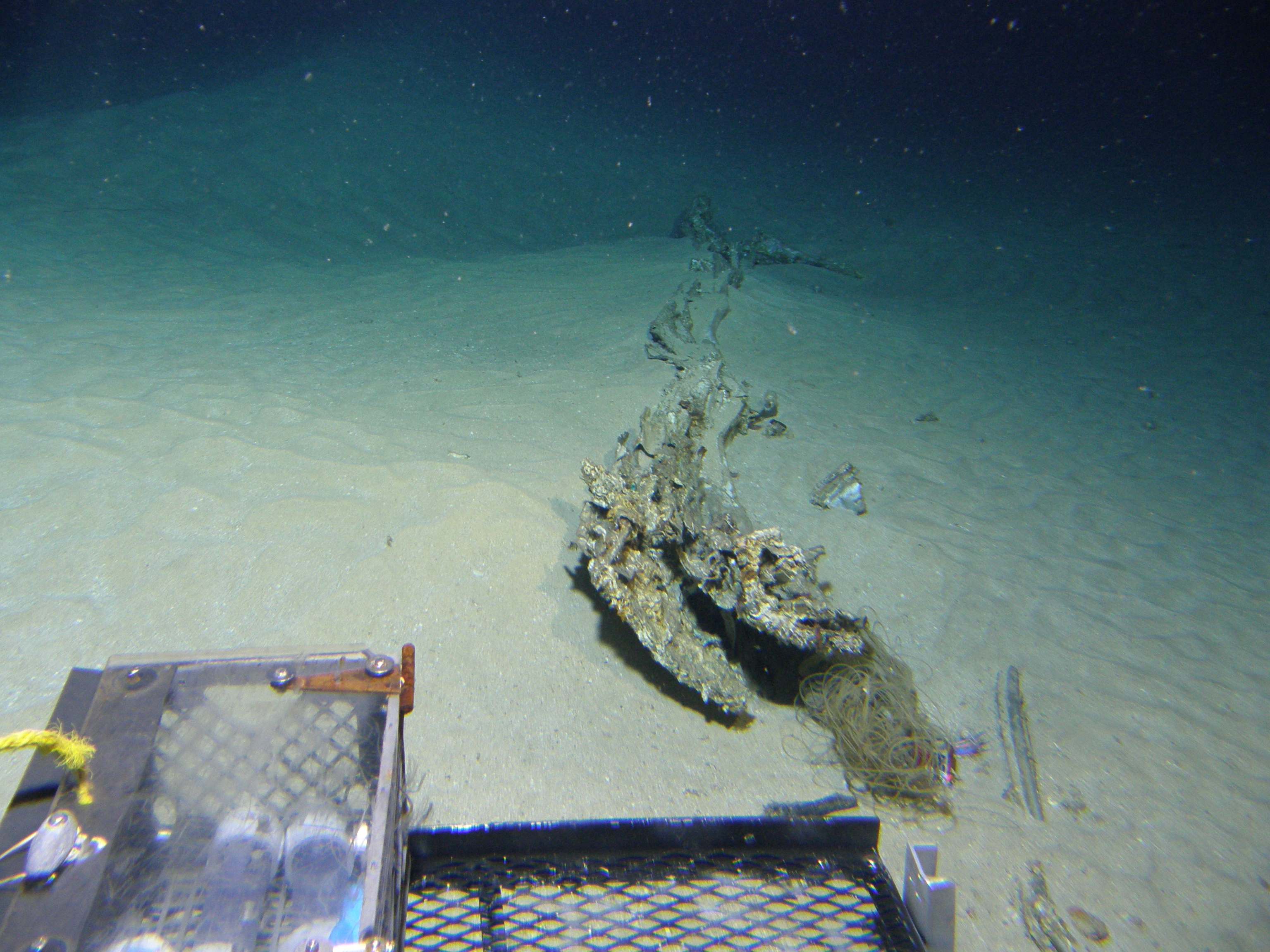 Survey: Engine, wing root and wreckage