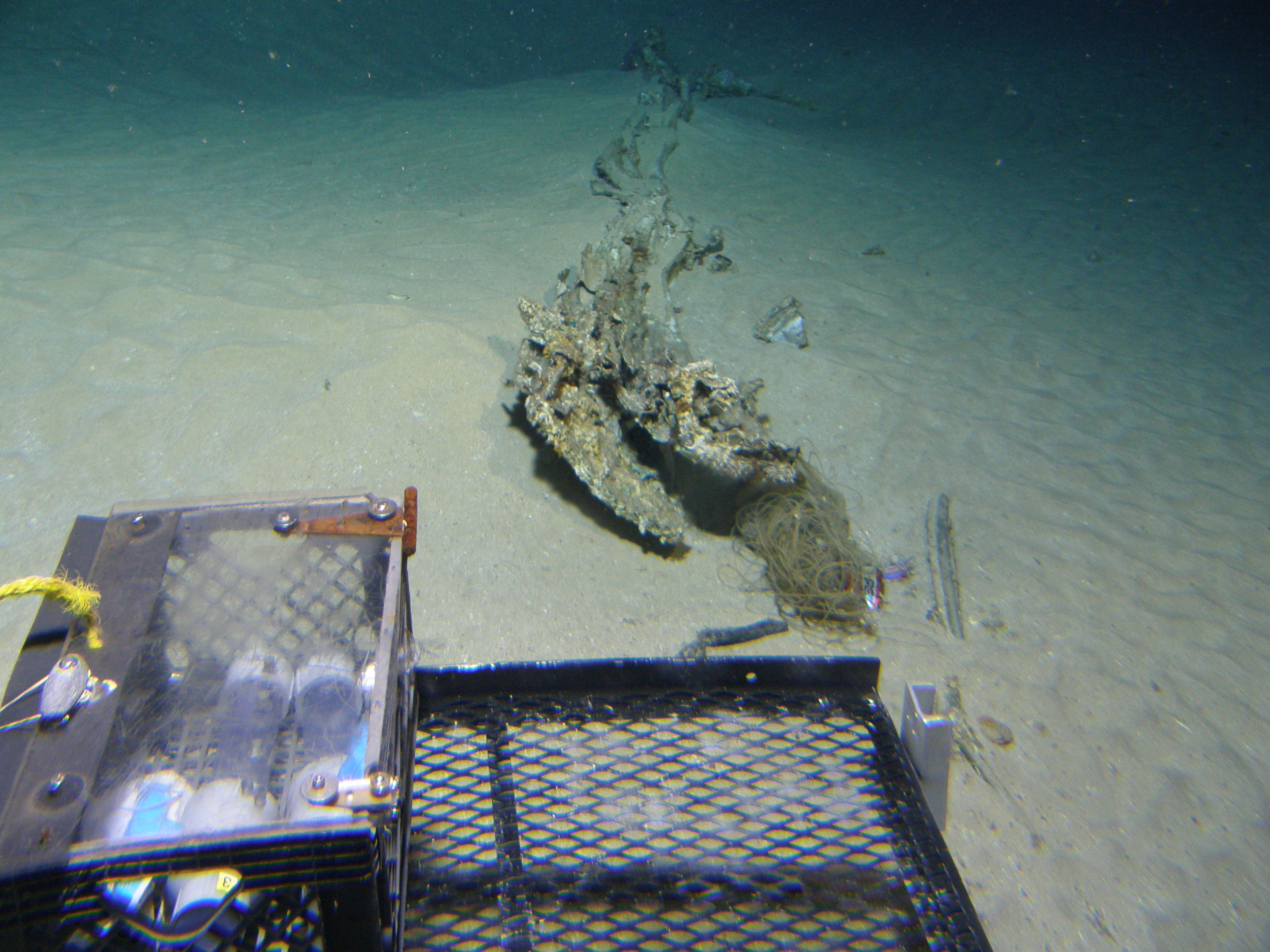 Survey: Engine, wing root and wreckage