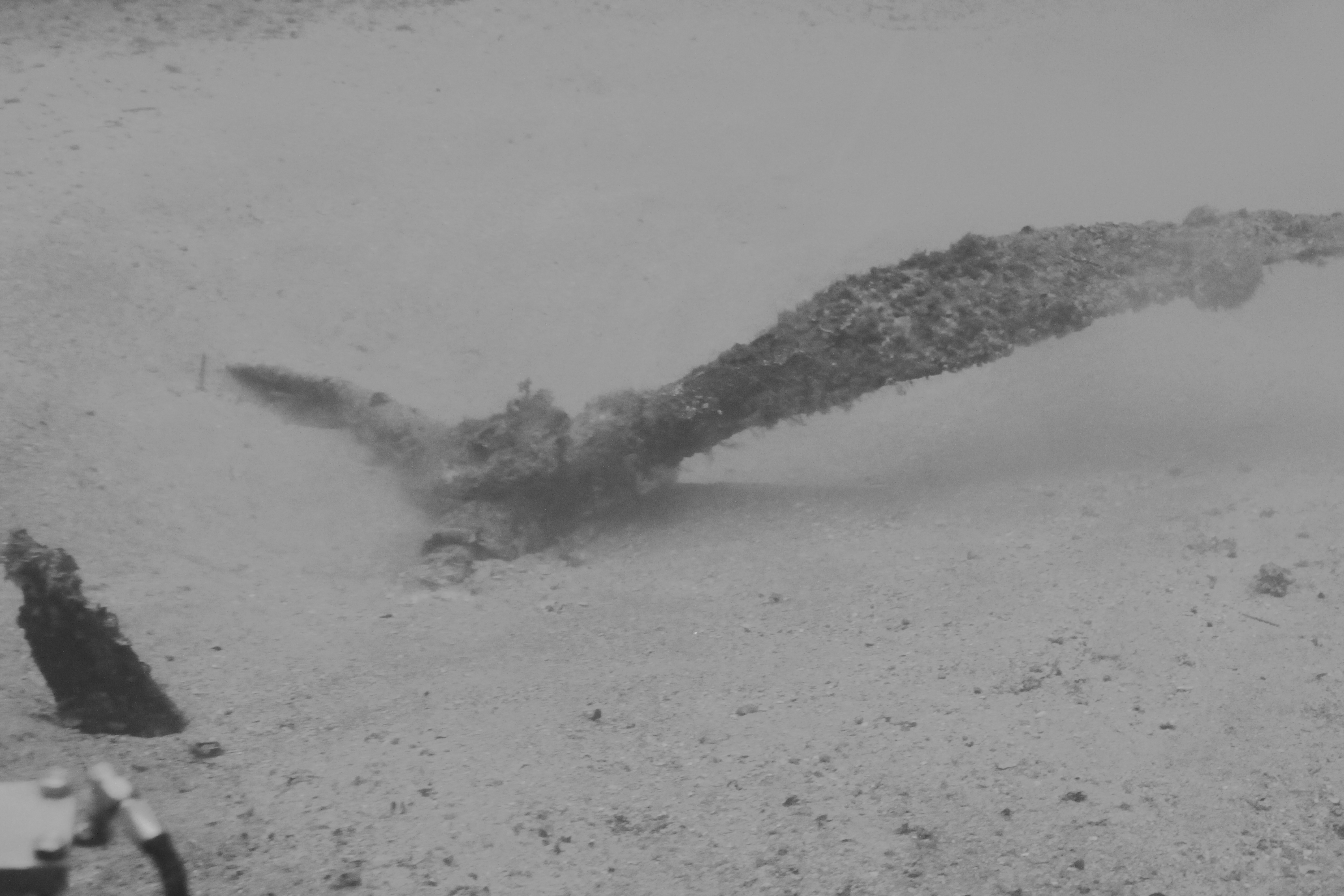 Survey: Unknown aircraft propeller 3 blades