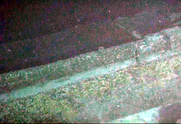 Survey: Mike boat landing craft