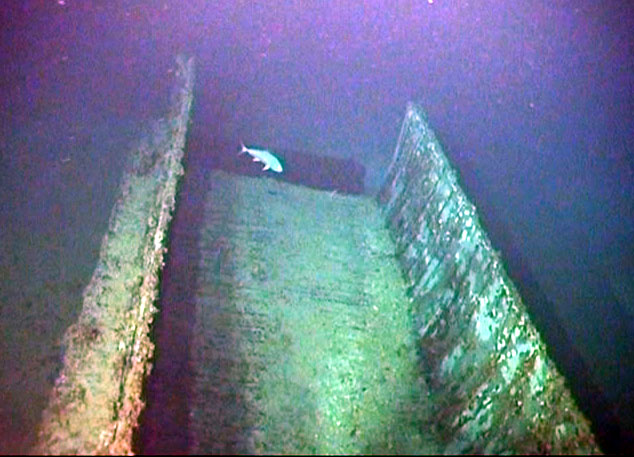 Survey: Mike boat landing craft