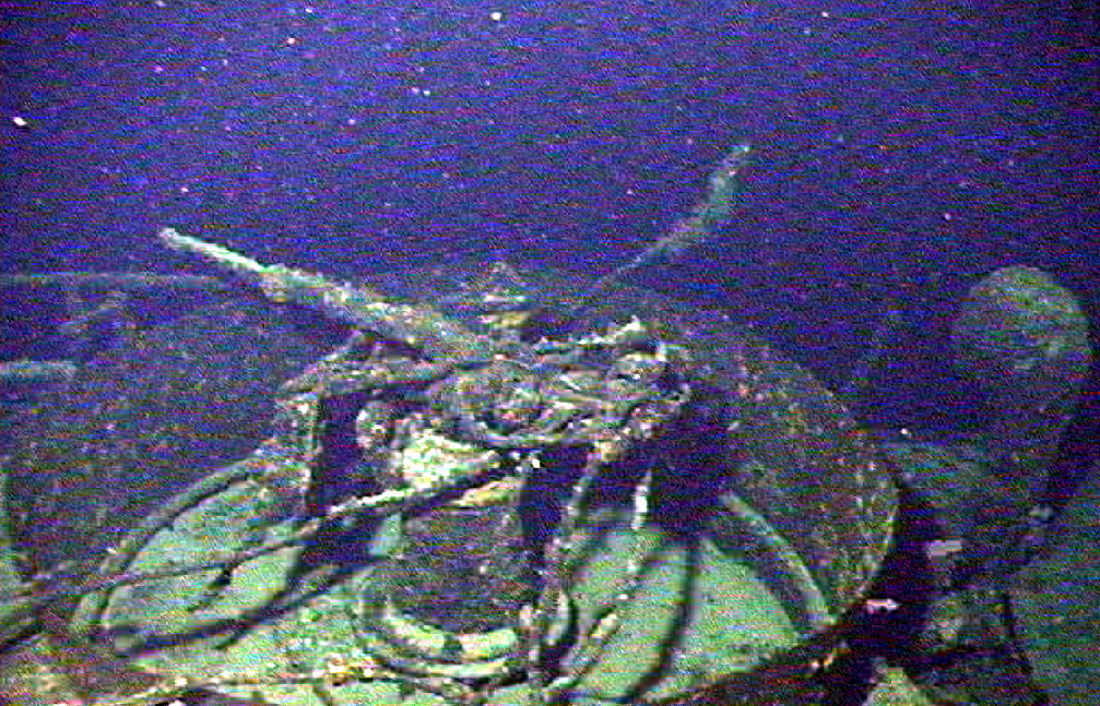 Survey: USS Chittenden county landing ship