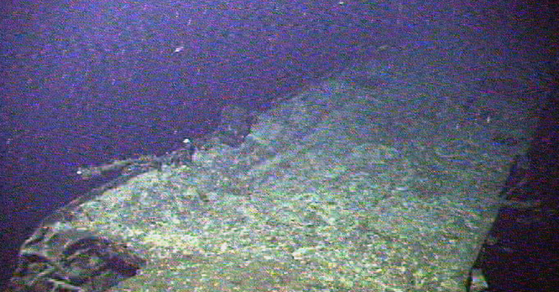 Survey: USS Chittenden county landing ship