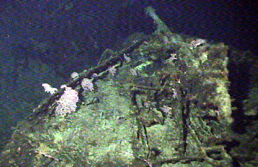 Survey: USS Chittenden county landing ship