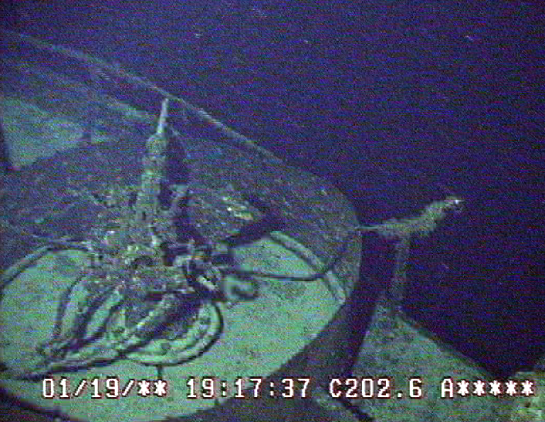 Survey: USS Chittenden county landing ship