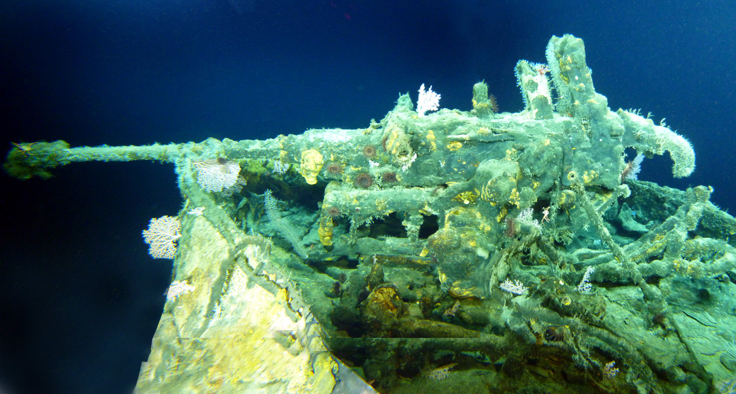 Survey: USS Chittenden county landing ship