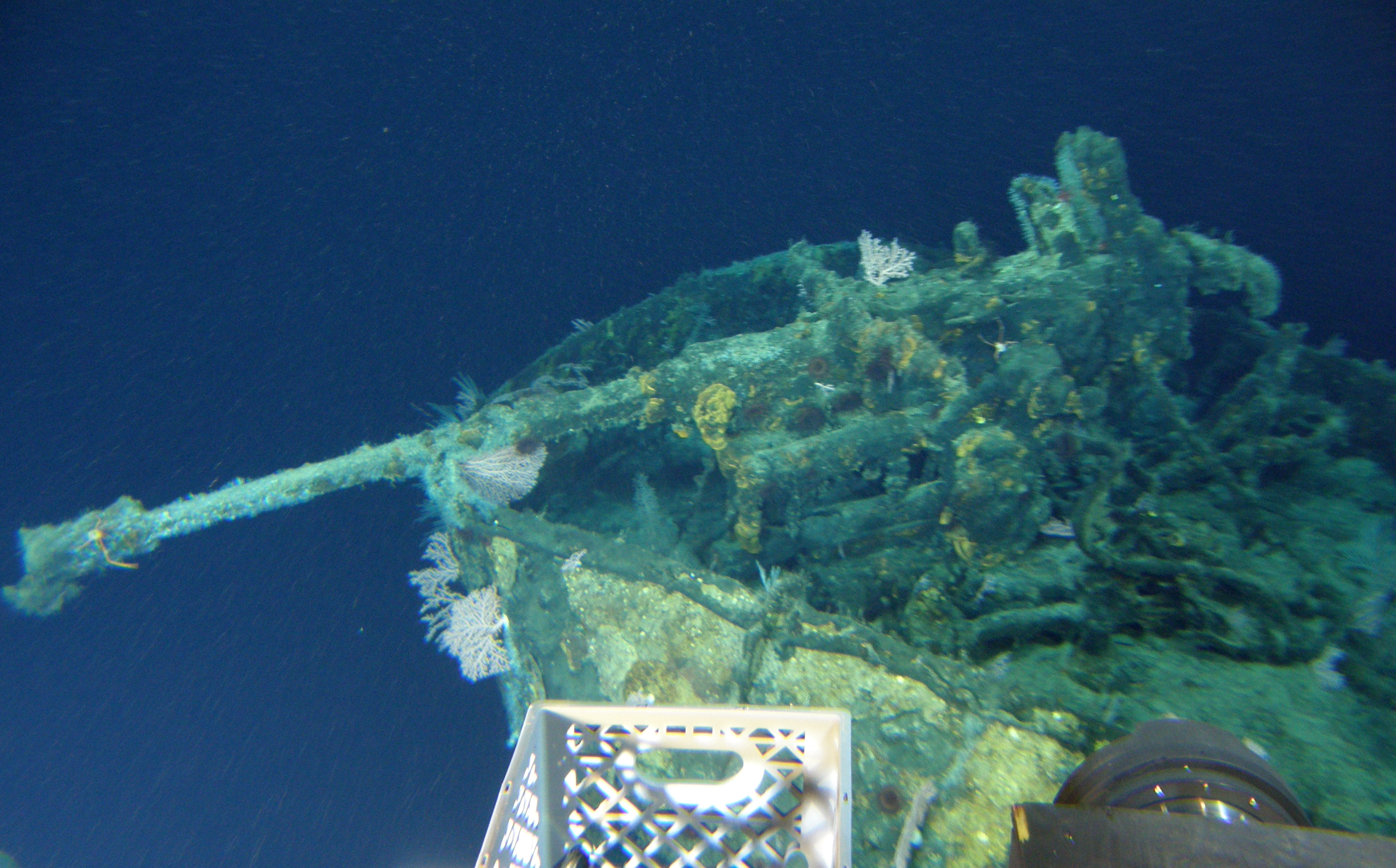 Survey: USS Chittenden county landing ship