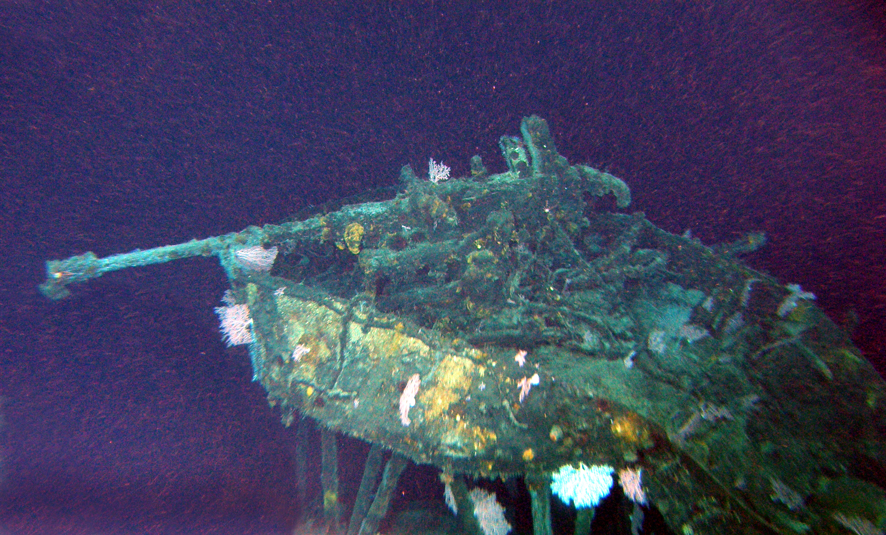 Survey: USS Chittenden county landing ship