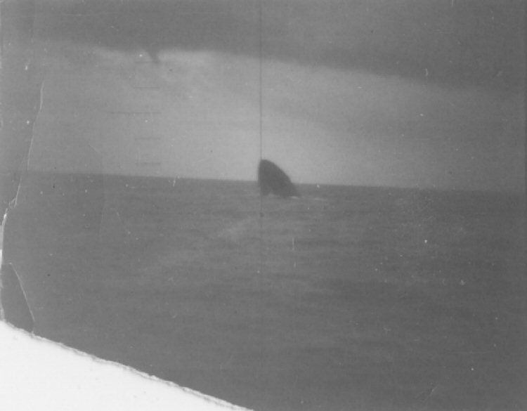 Historic photo: LST-561 sinking