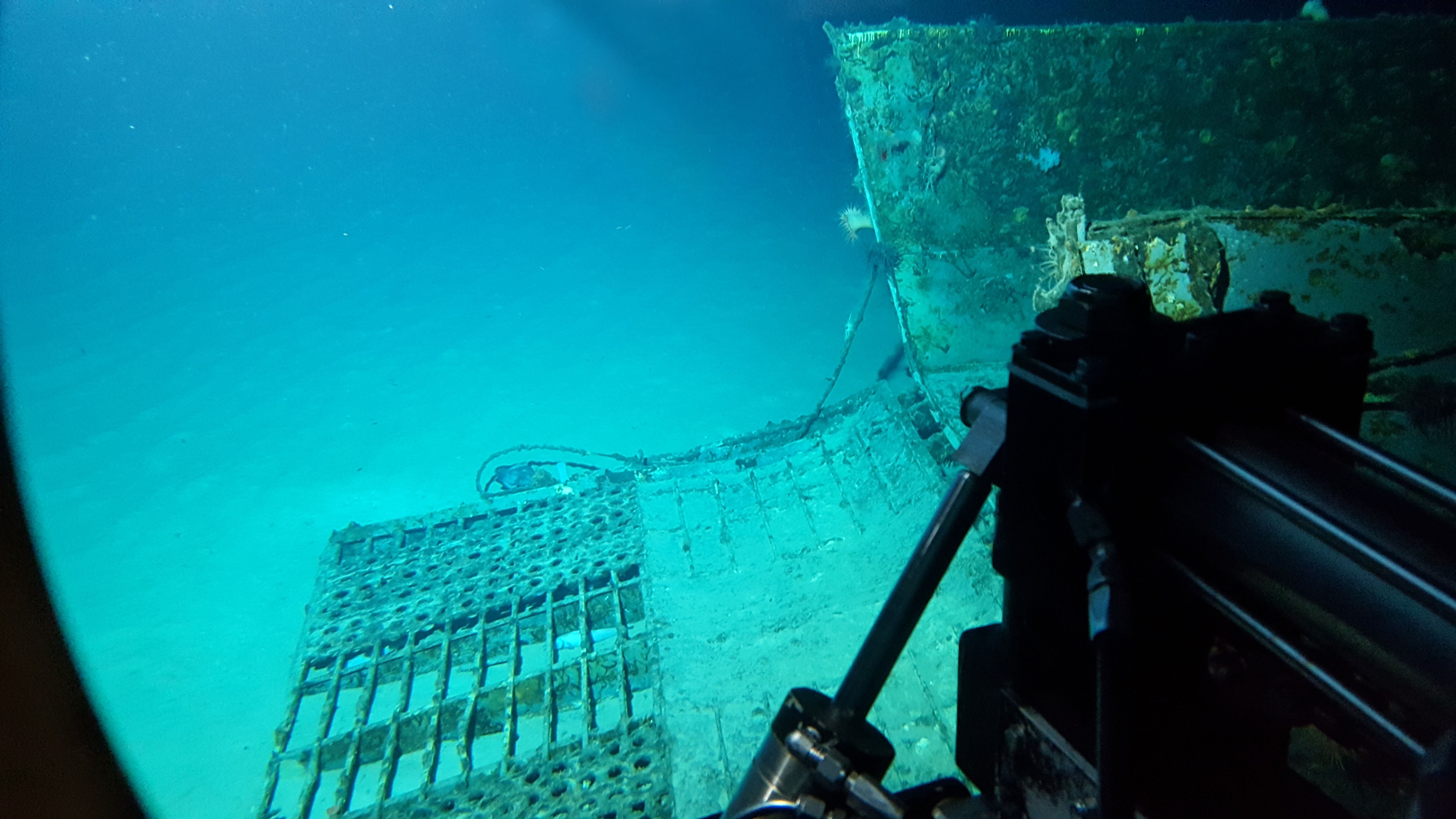 Survey: Mike boat landing craft
