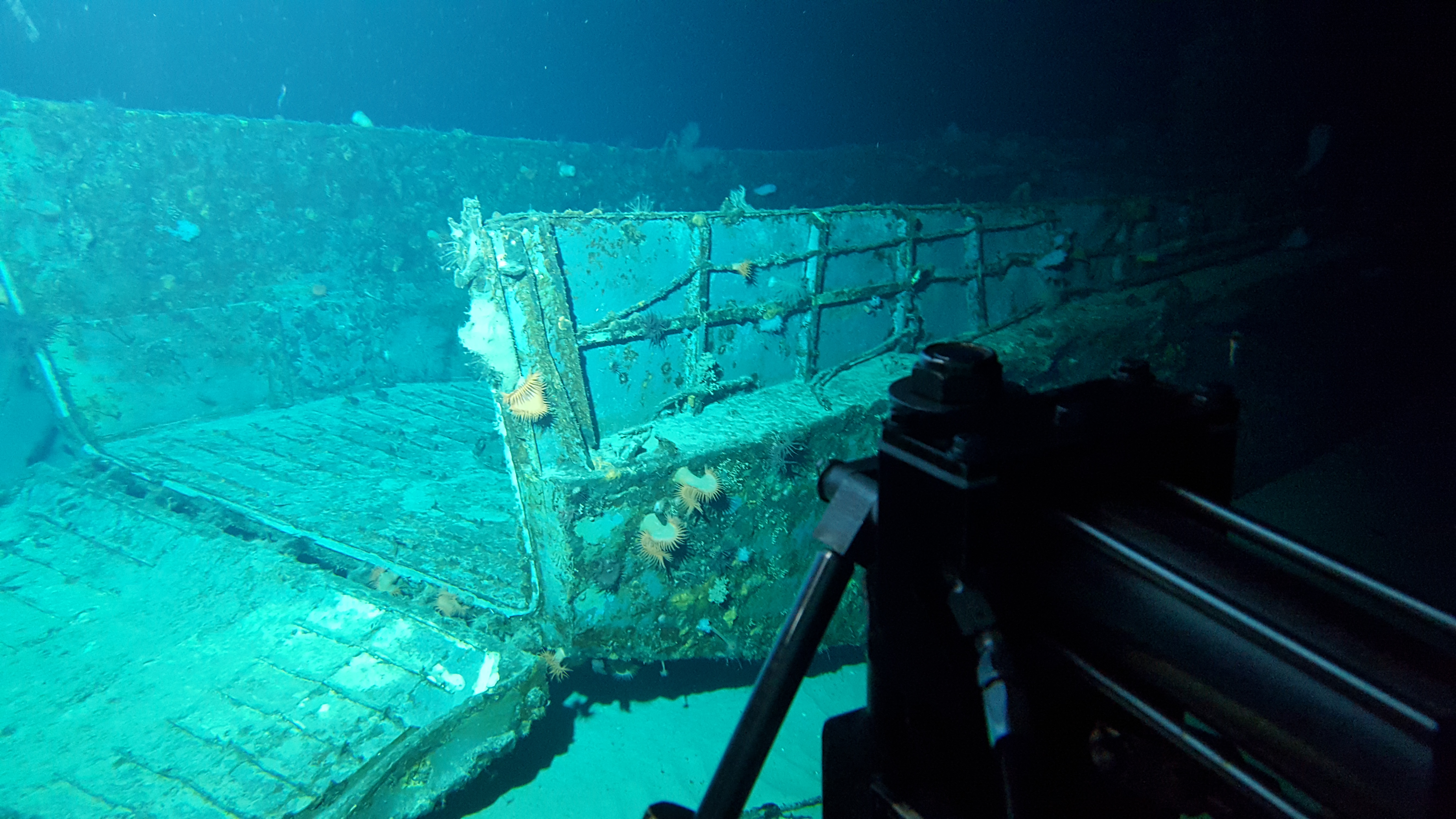 Survey: Mike boat landing craft