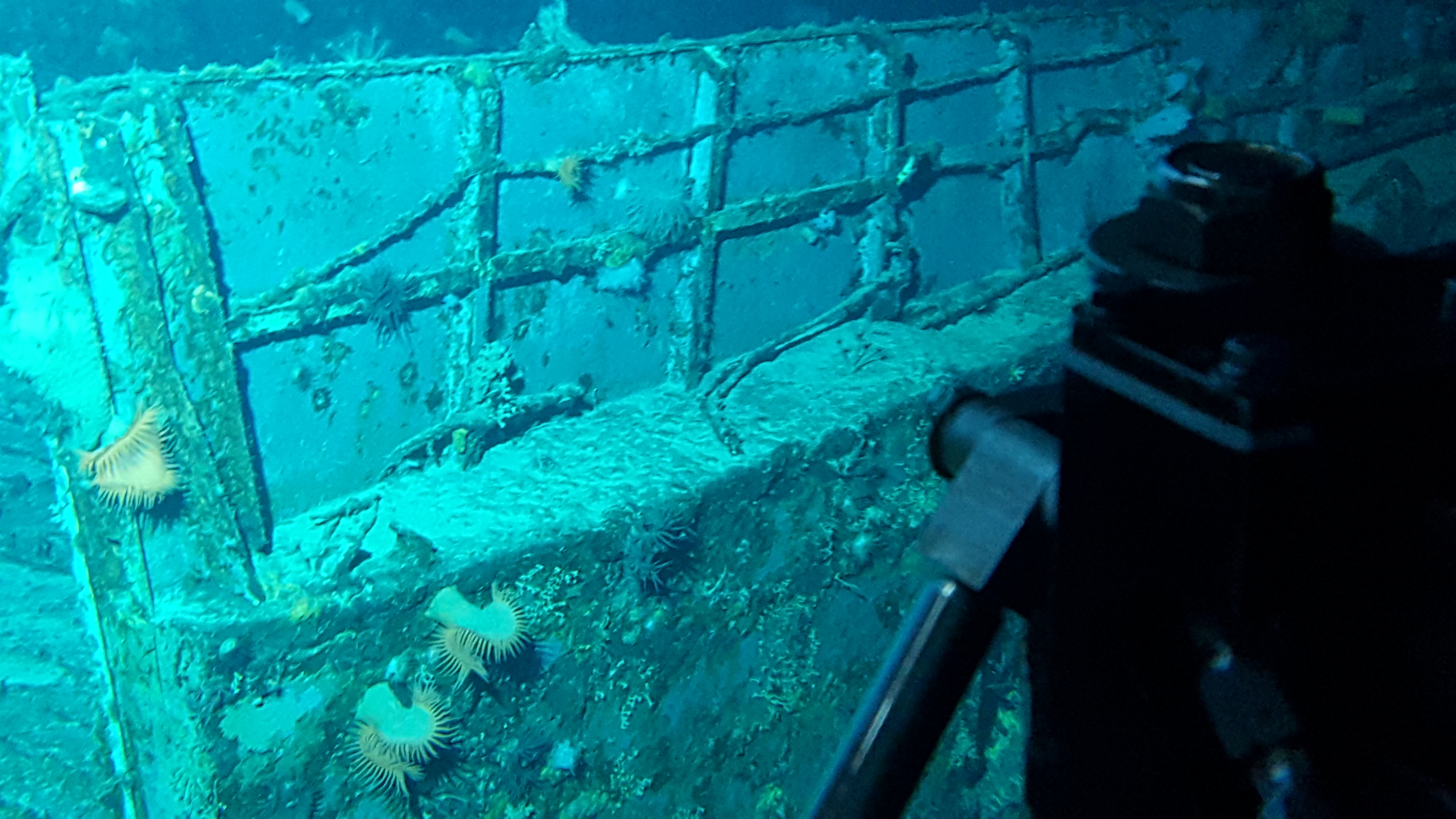 Survey: Mike boat landing craft
