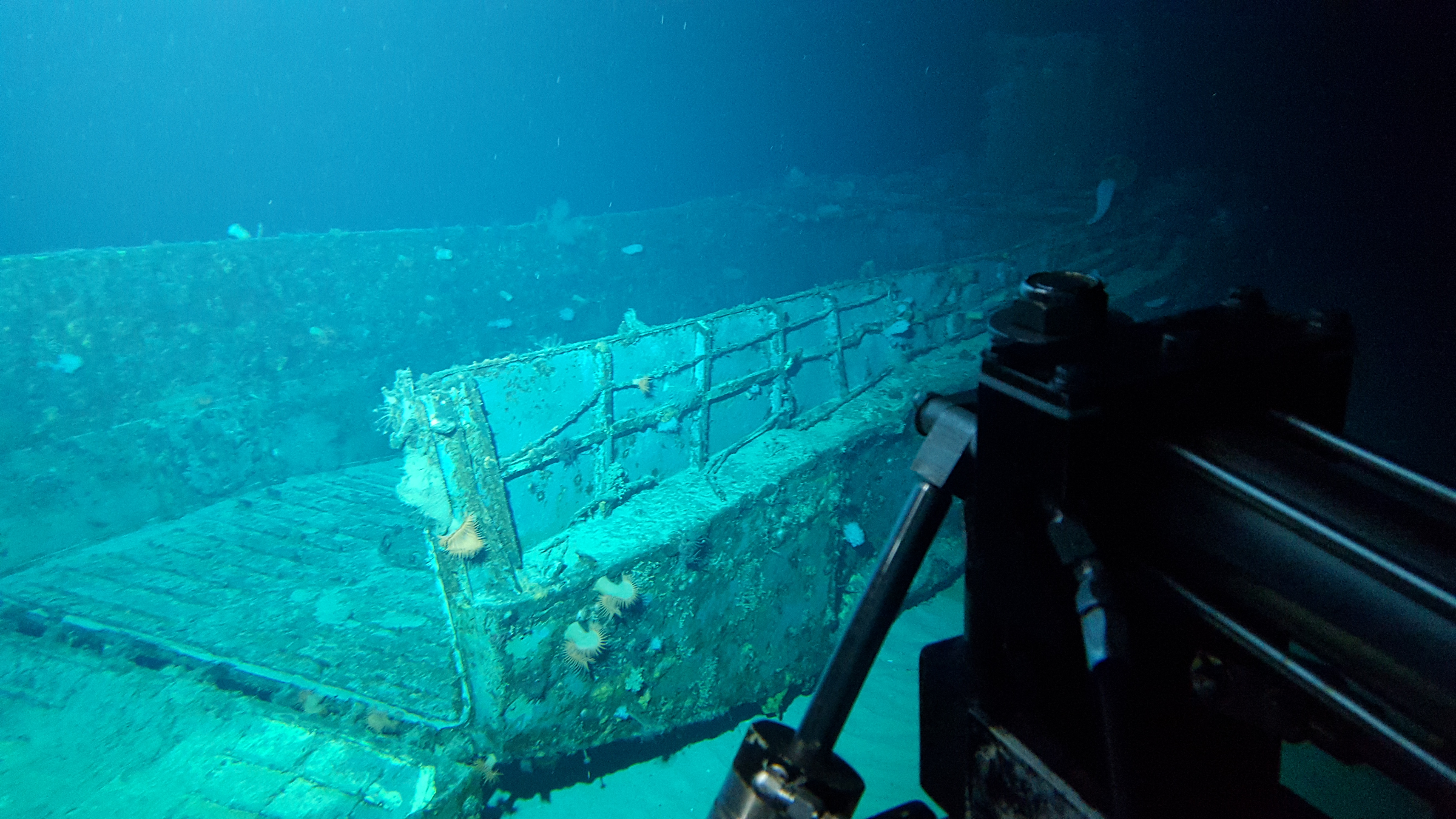 Survey: Mike boat landing craft