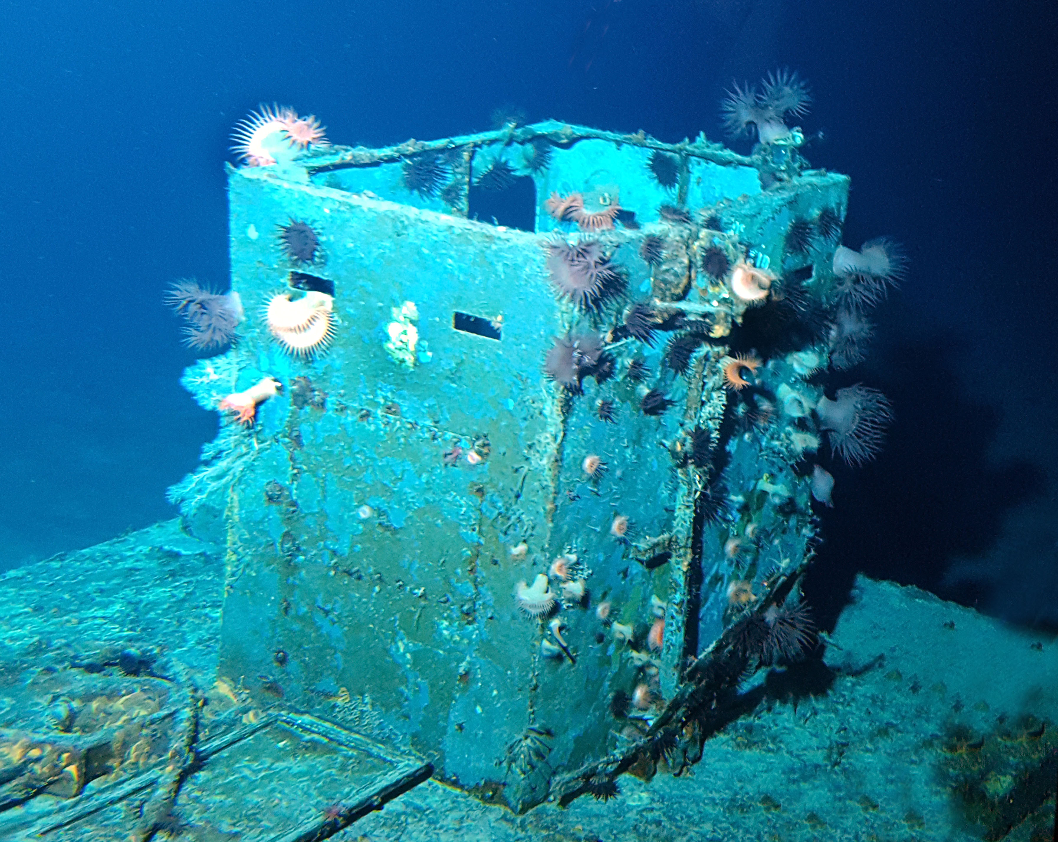 Survey: Mike boat landing craft