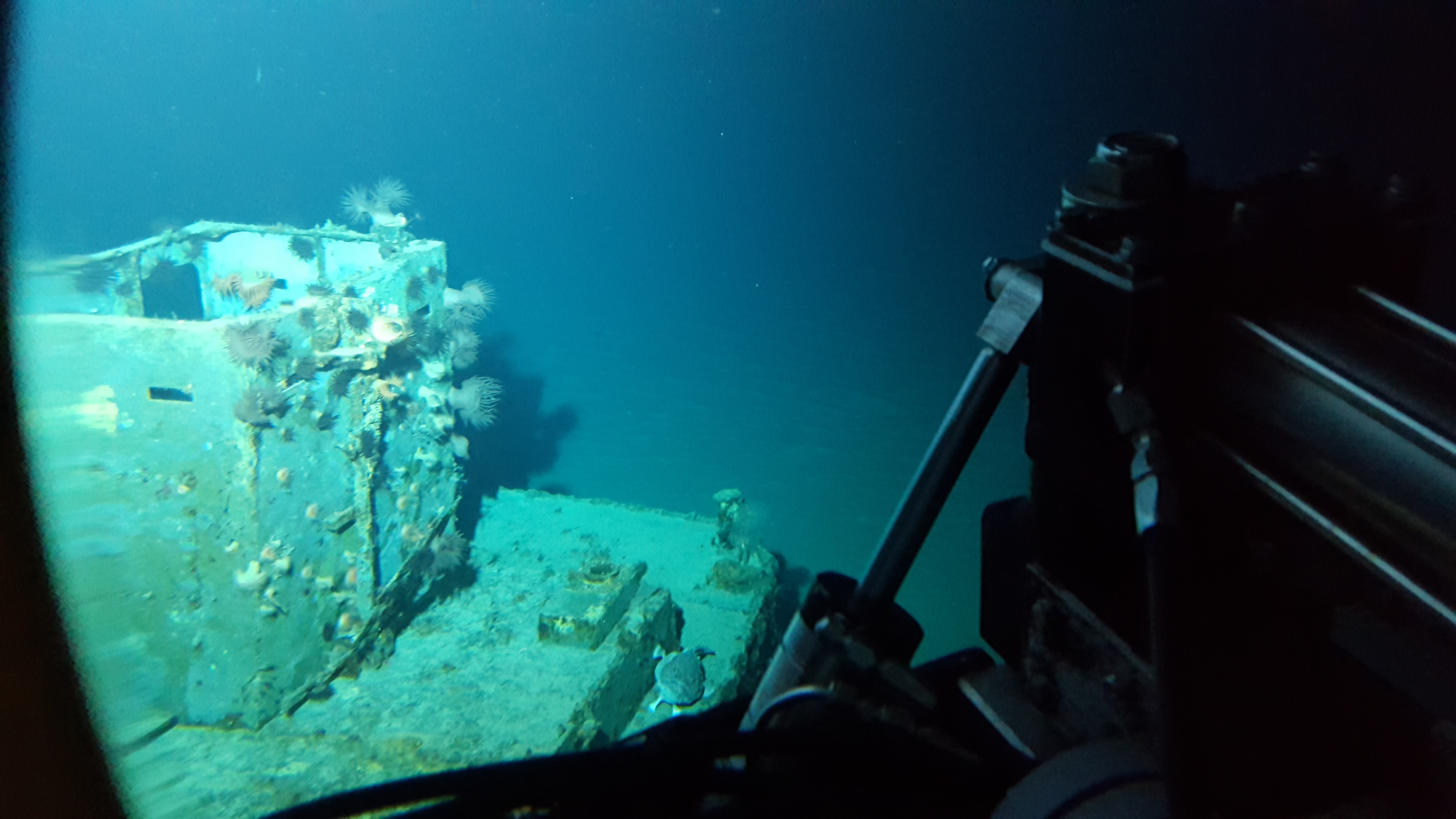 Survey: Mike boat landing craft