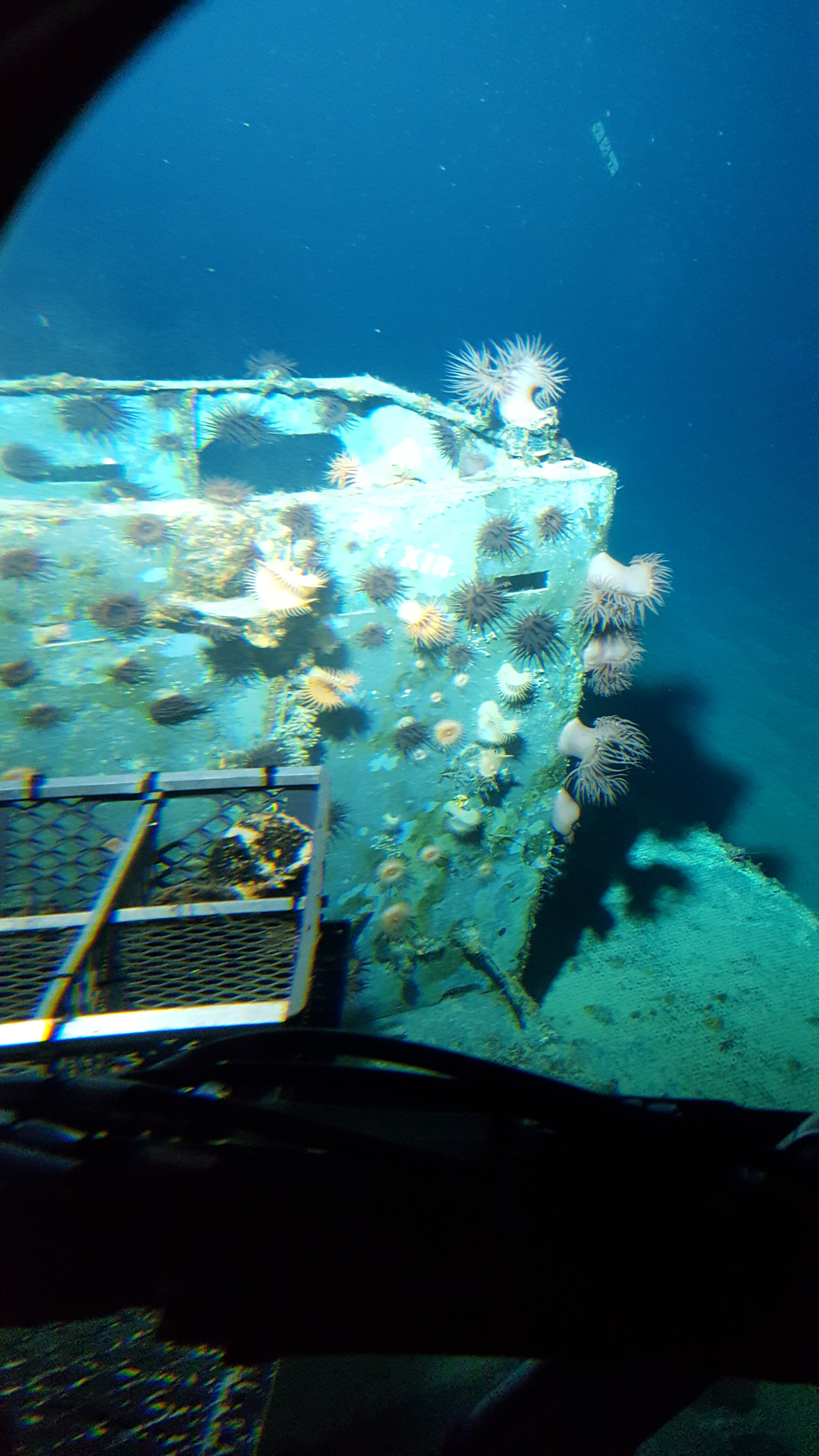 Survey: Mike boat landing craft