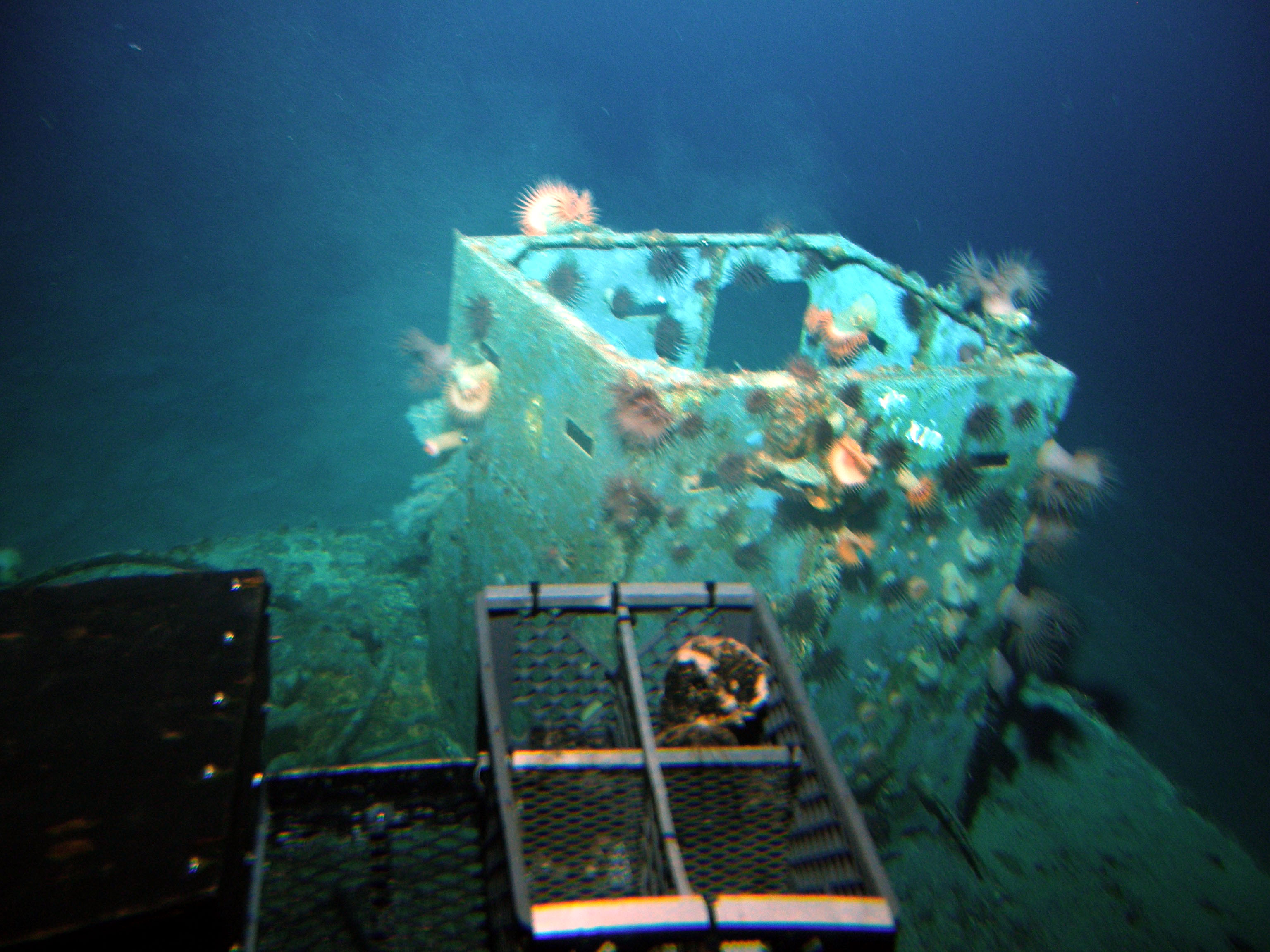 Survey: Mike boat landing craft