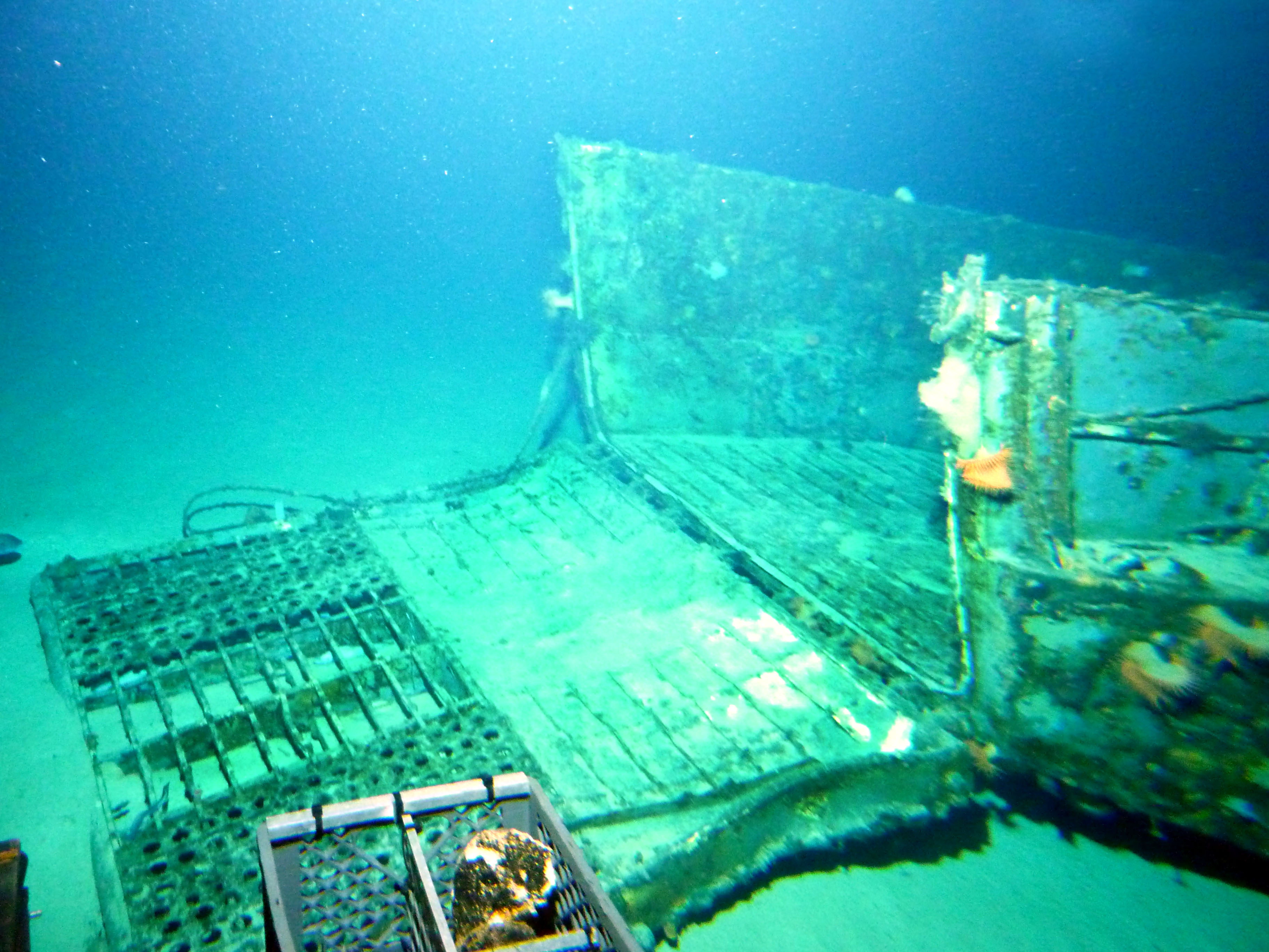 Survey: Mike boat landing craft