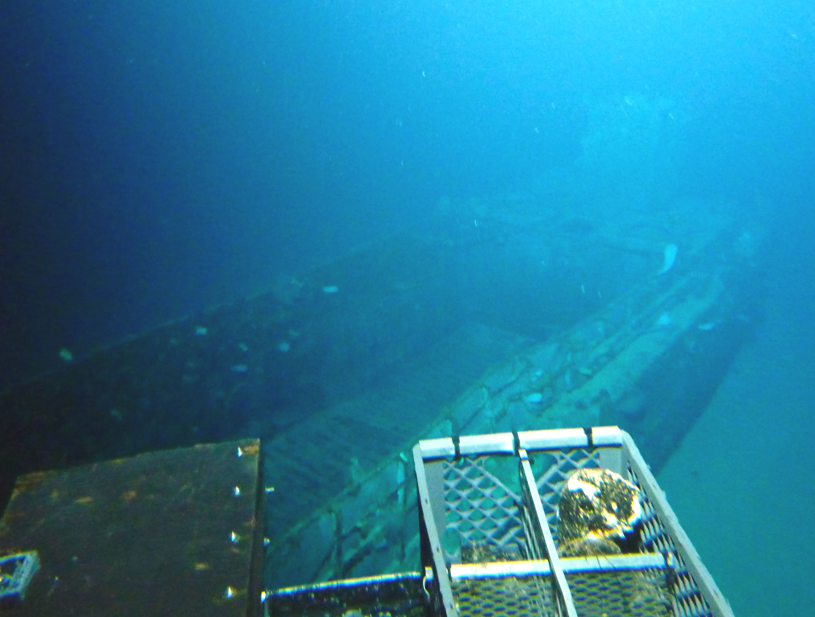 Survey: Mike boat landing craft
