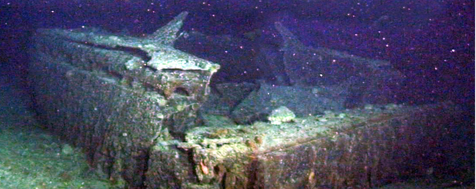 Mosaic: LVT-2 bow
