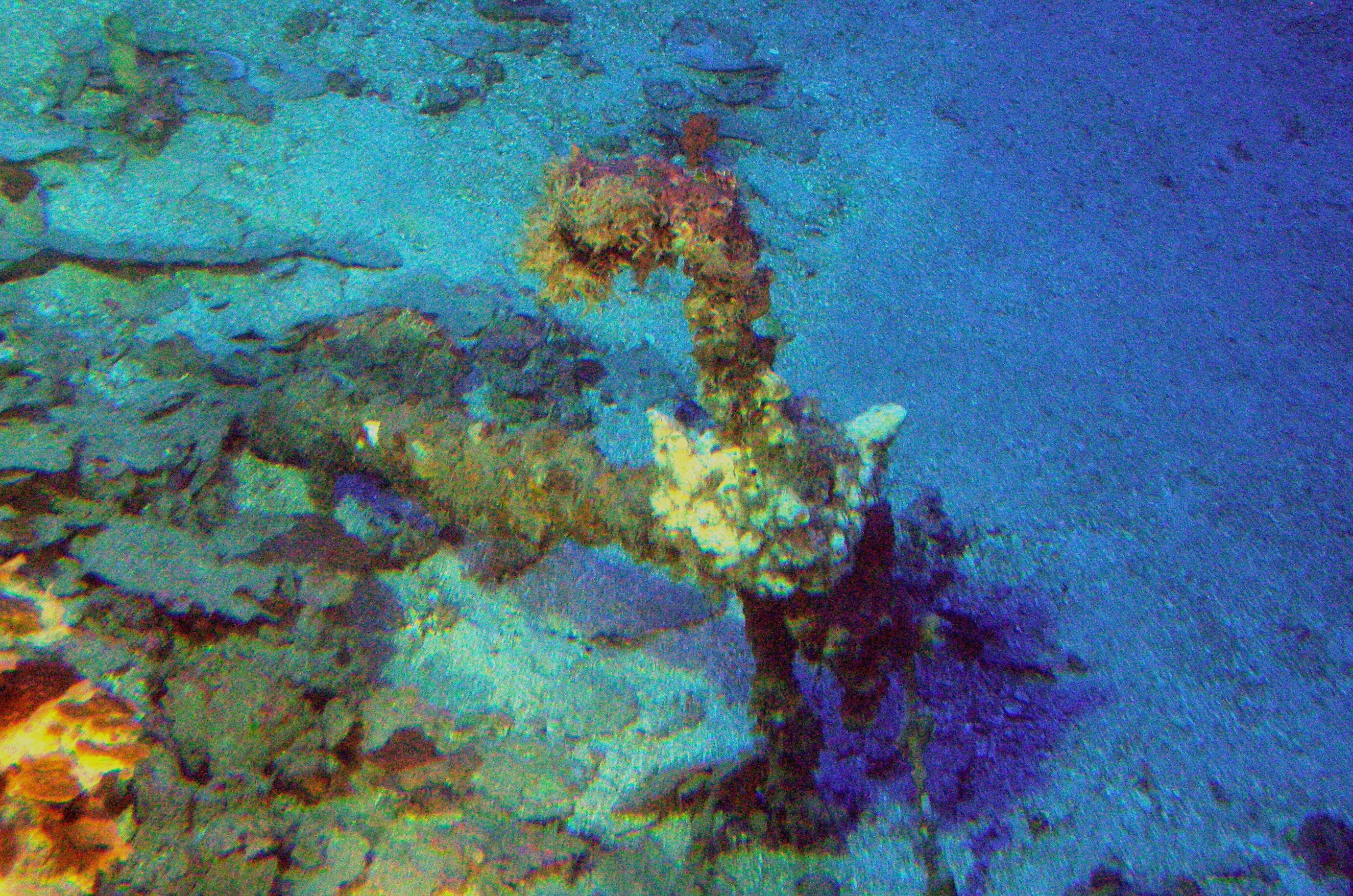 MISC-003: Anchor