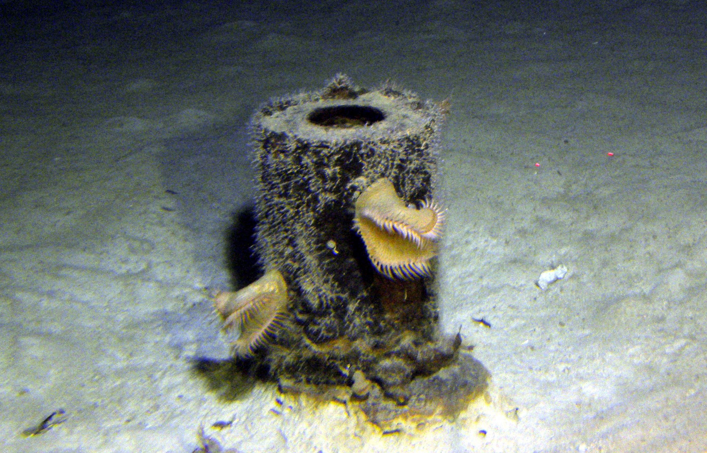 MISC-004: Barrel with Hole