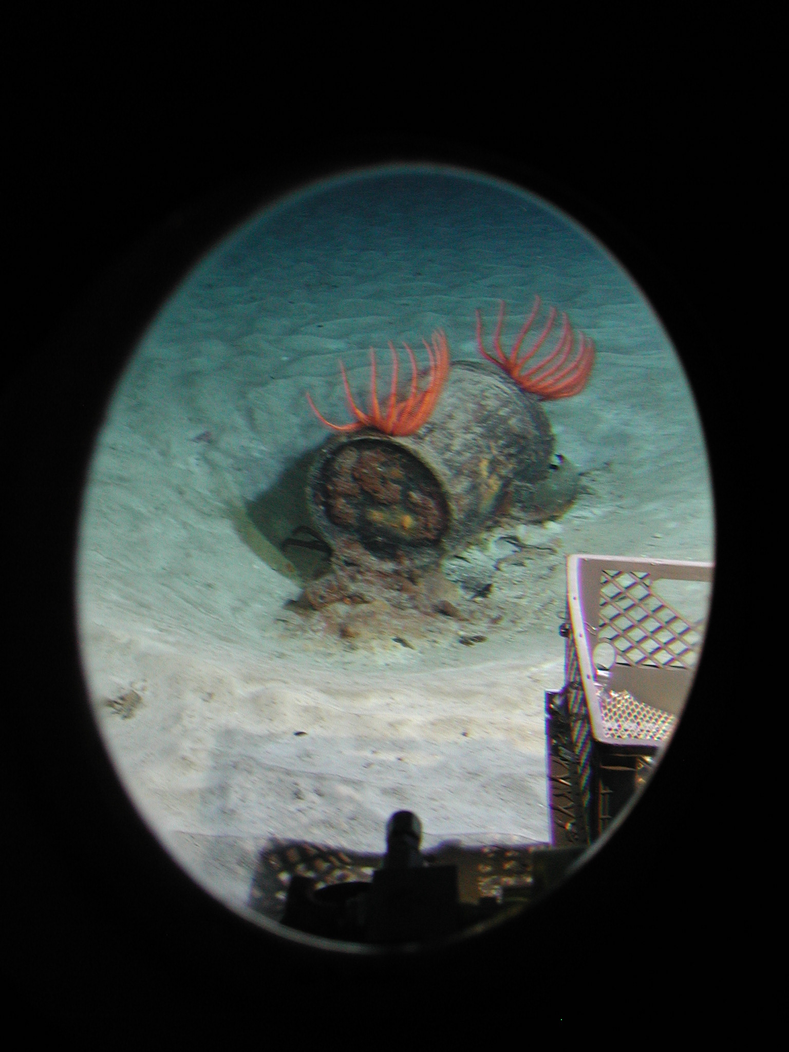 MISC-005: Barrel