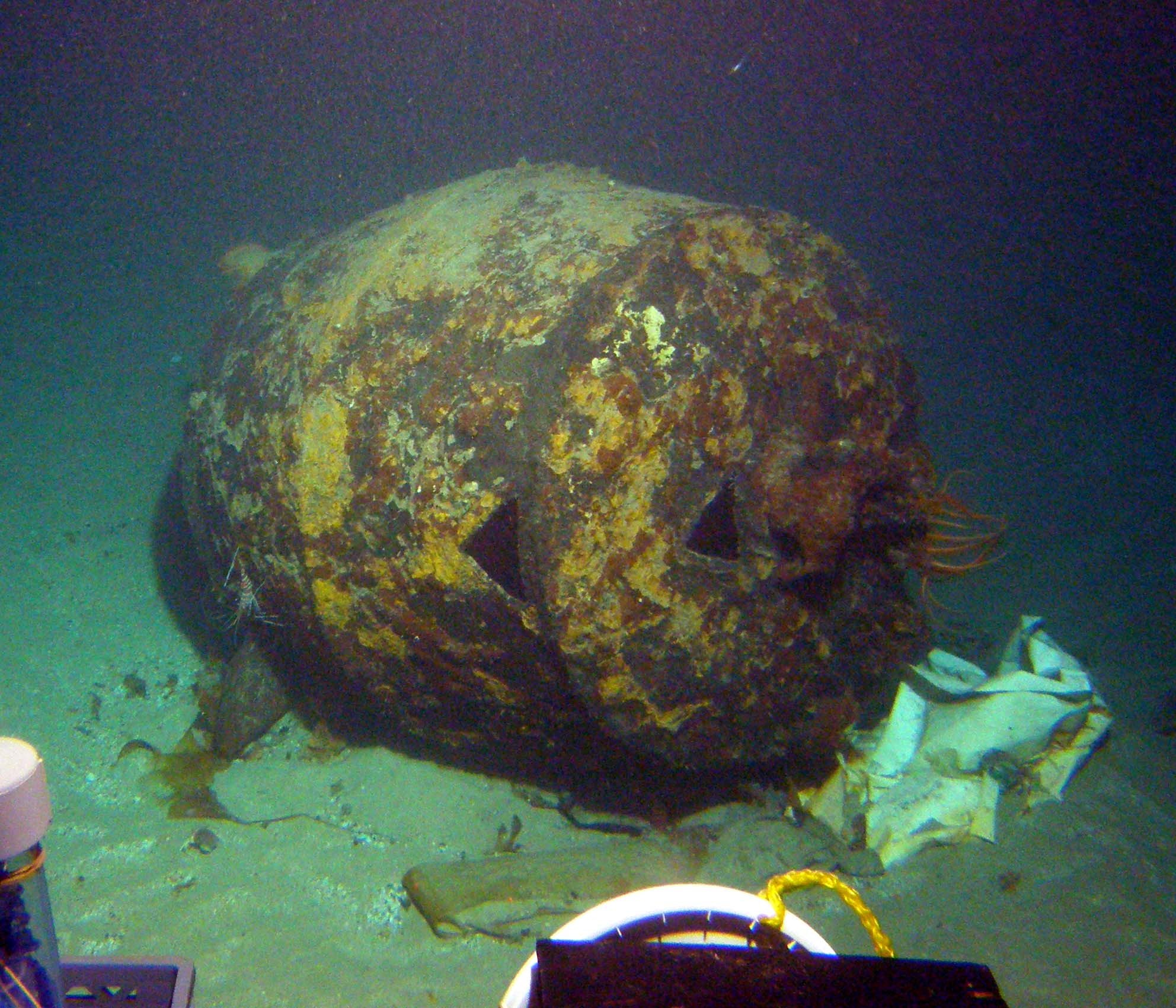 MISC-012: Buoy on side