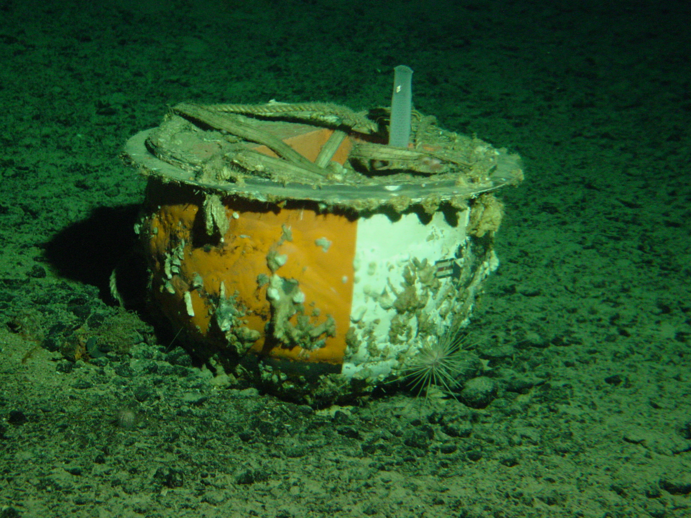 MISC-013: Buoy