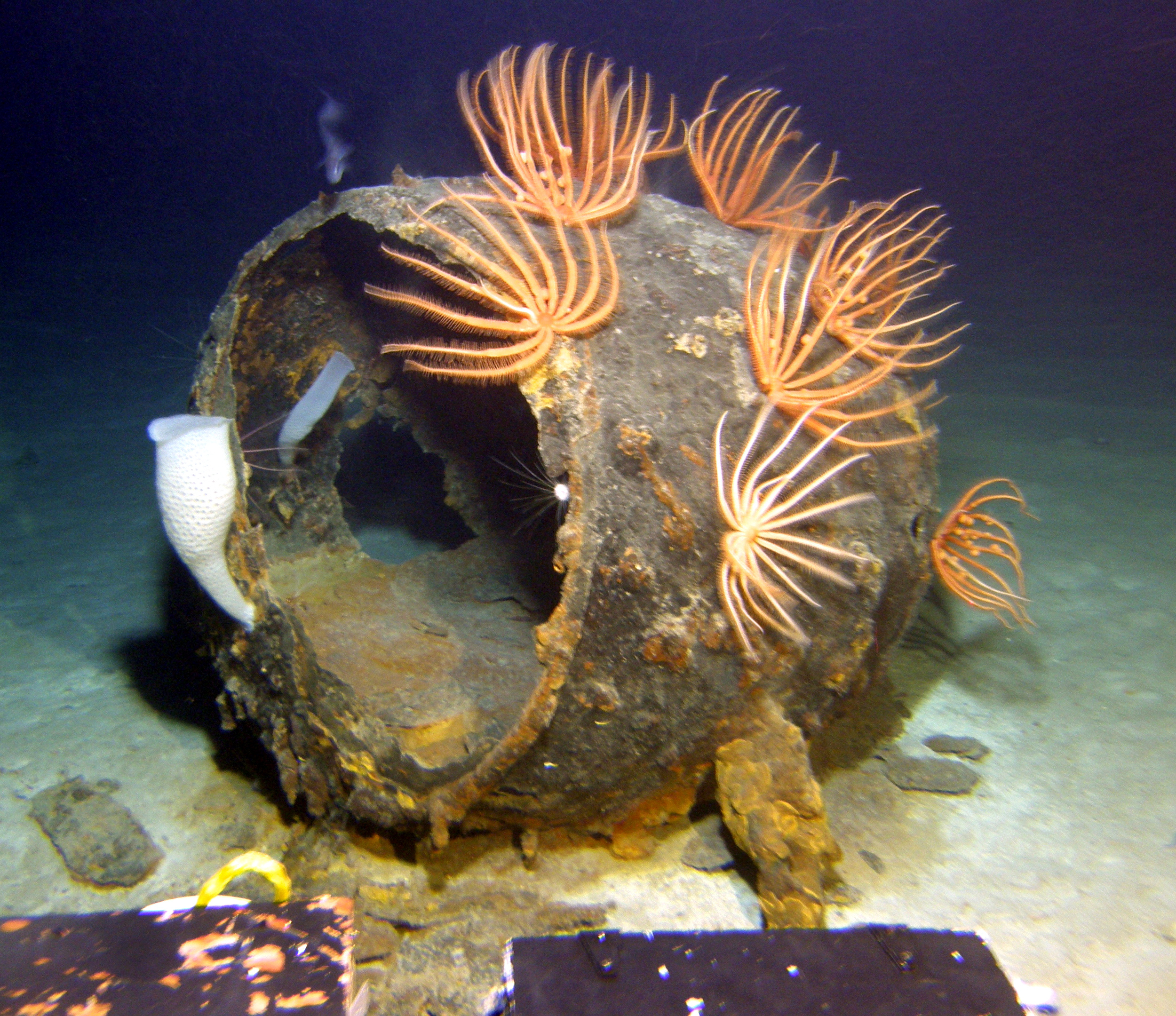 MISC-021: Broken Buoy