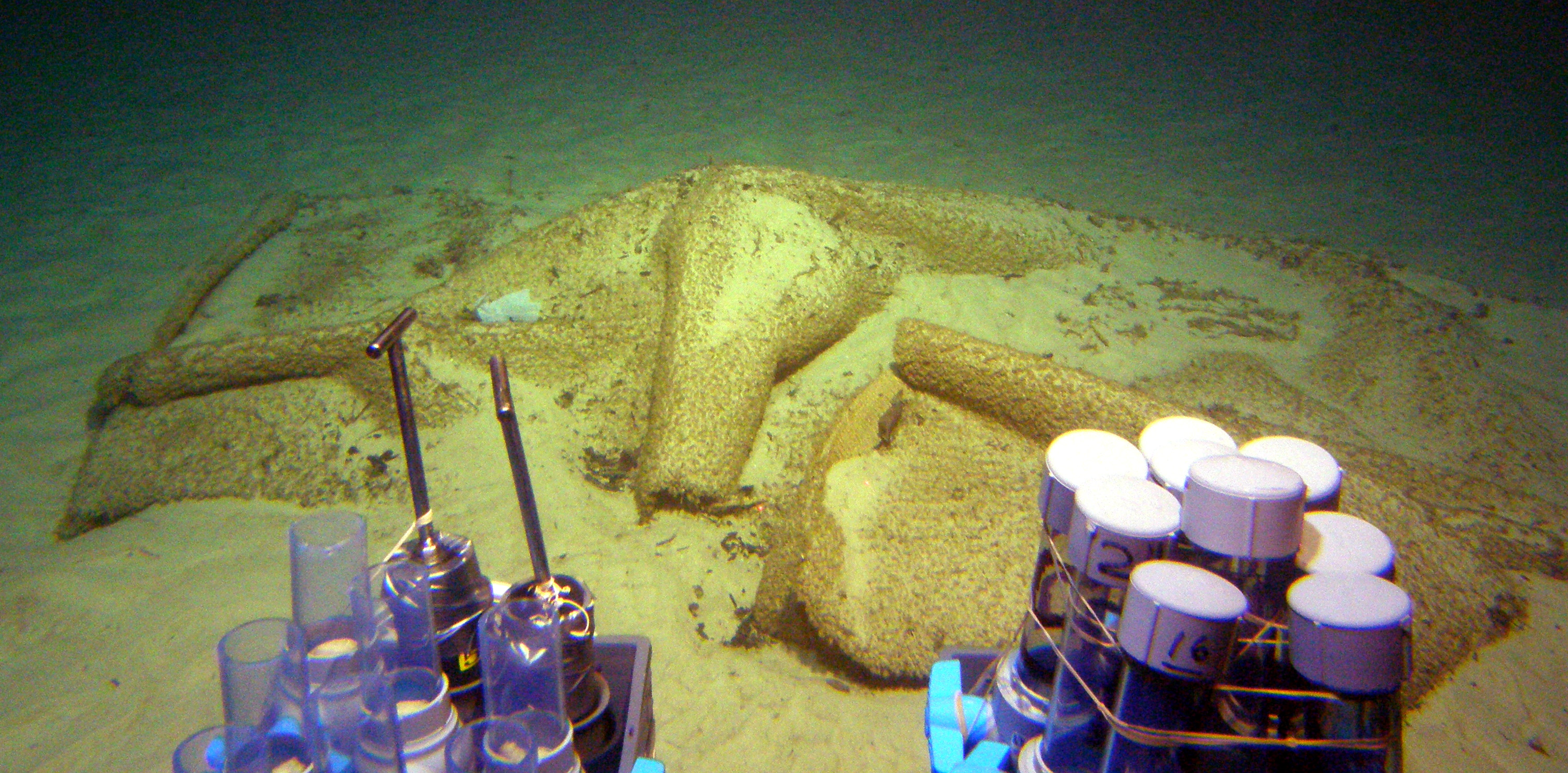 MISC-029: Carpet Pile
