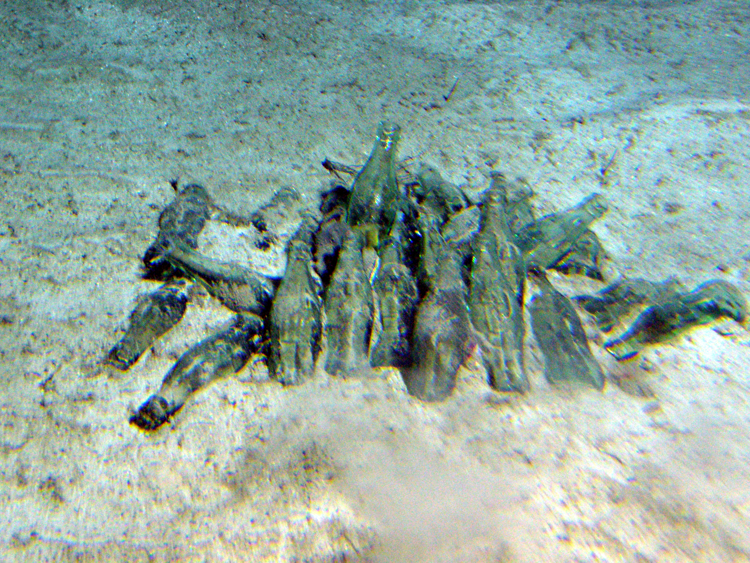 MISC-034: Coke Bottles