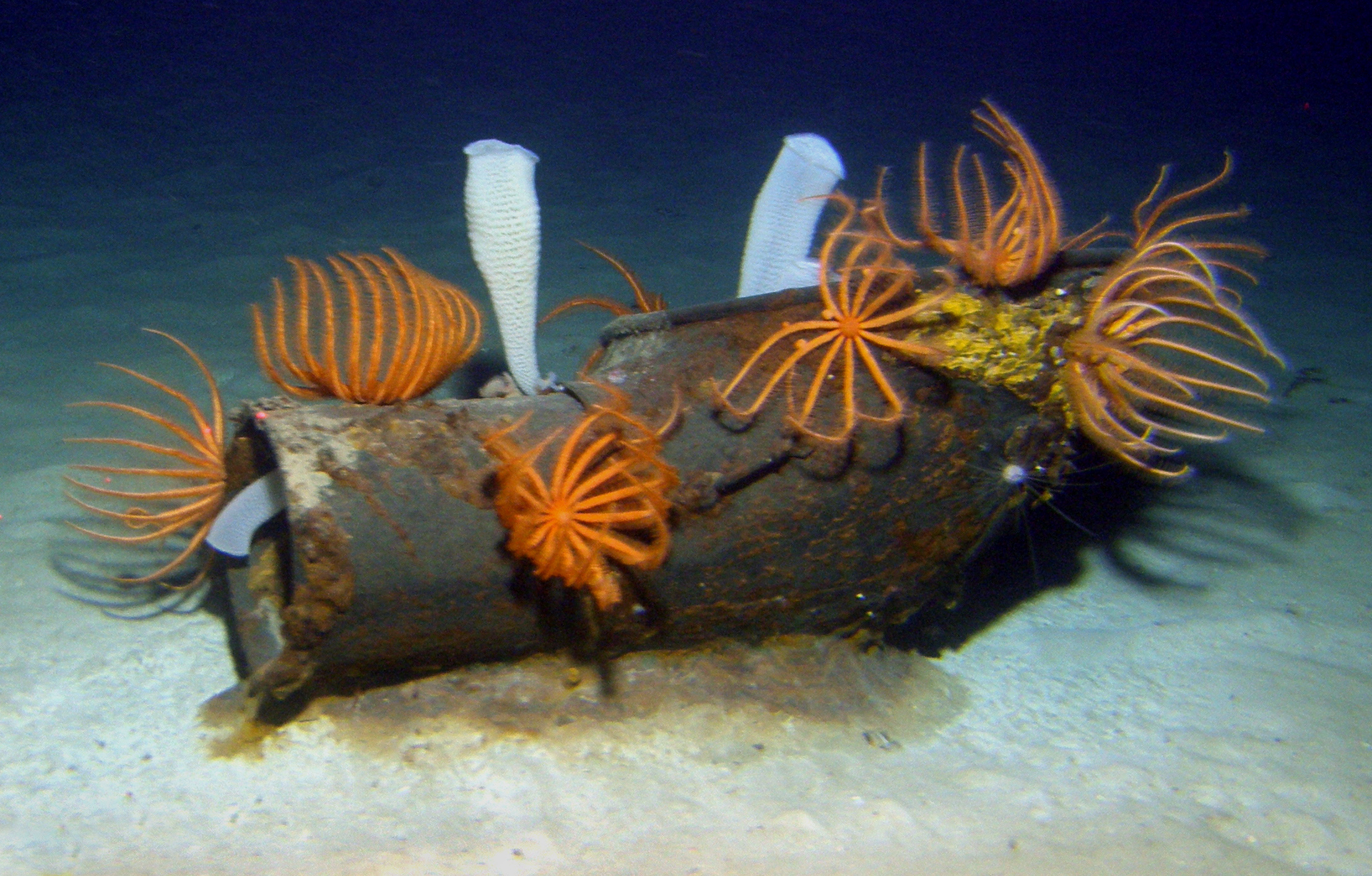 MISC-053: Engine Room Vent