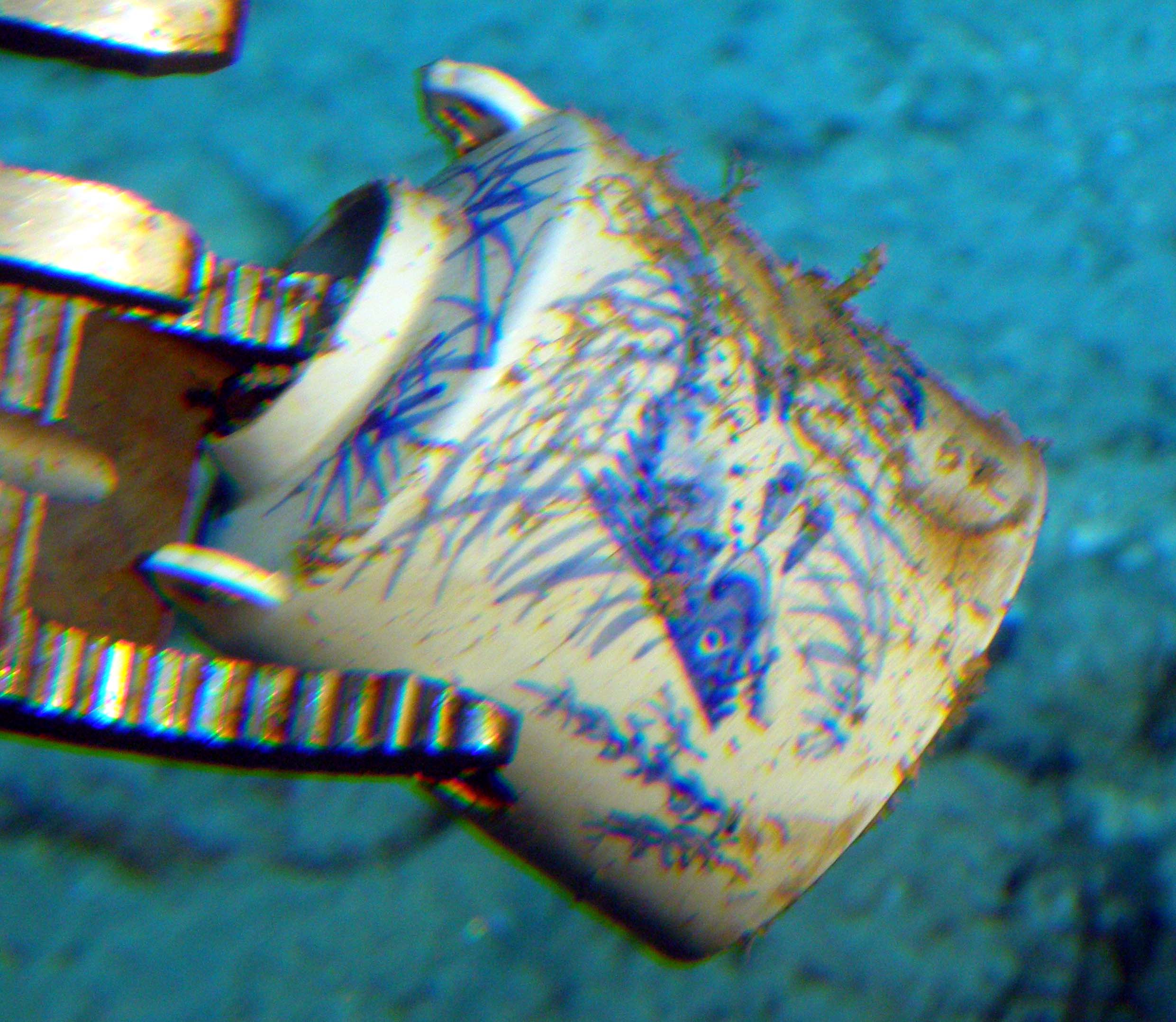 MISC-058: Fish Pot