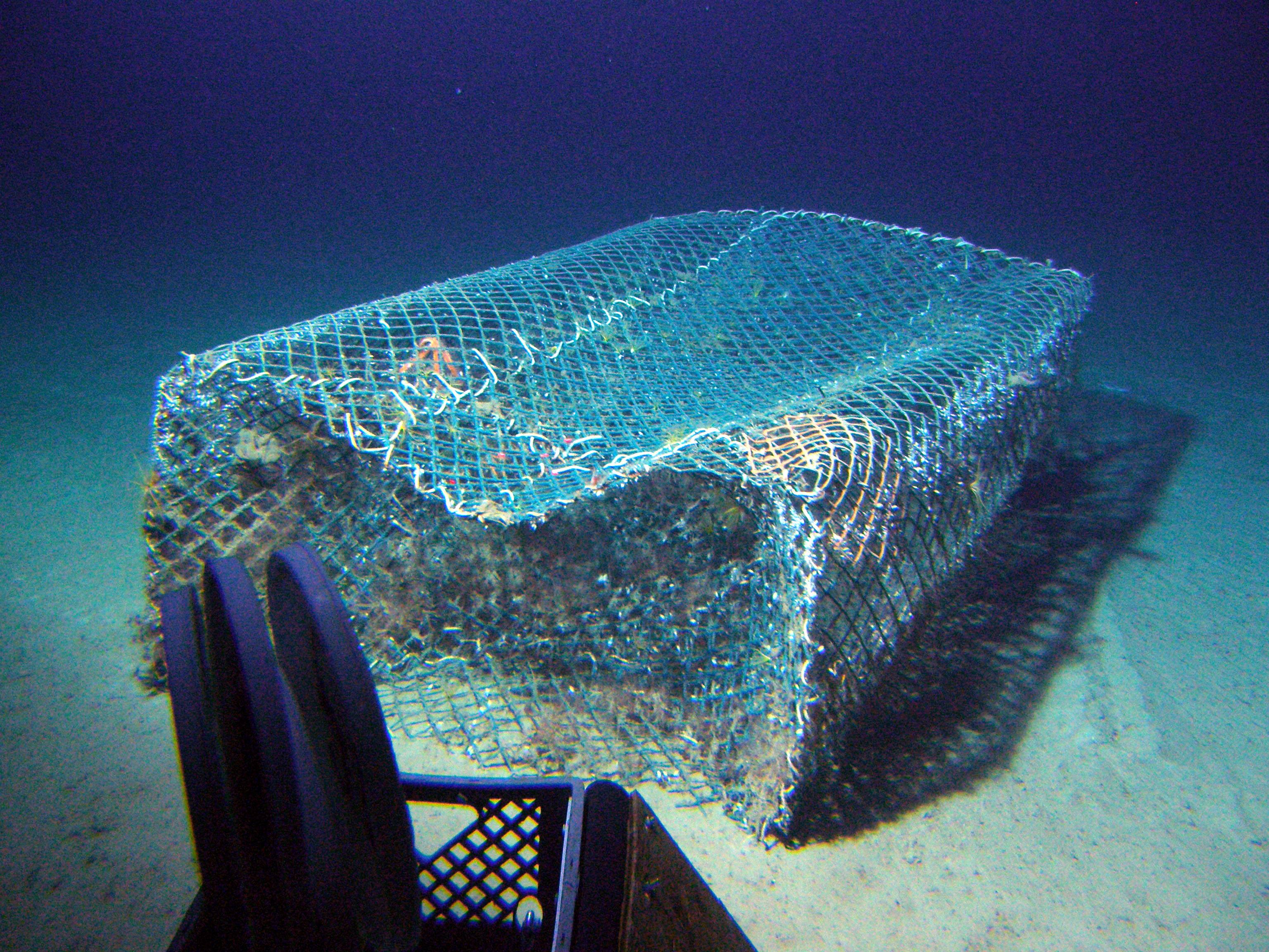 MISC-059: Fish Trap