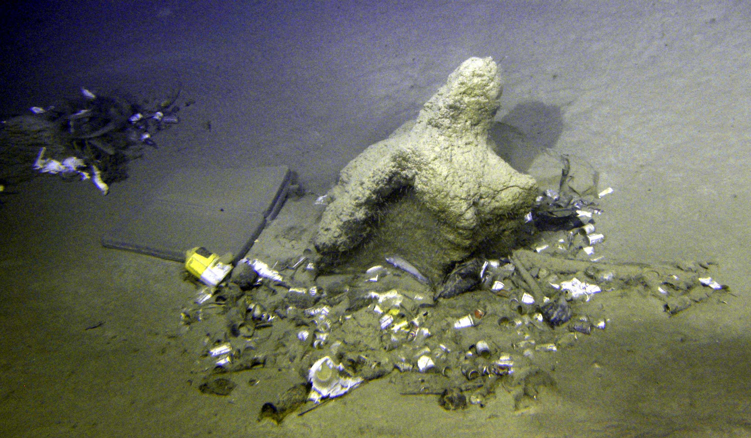 MISC-065: Garbage Rock