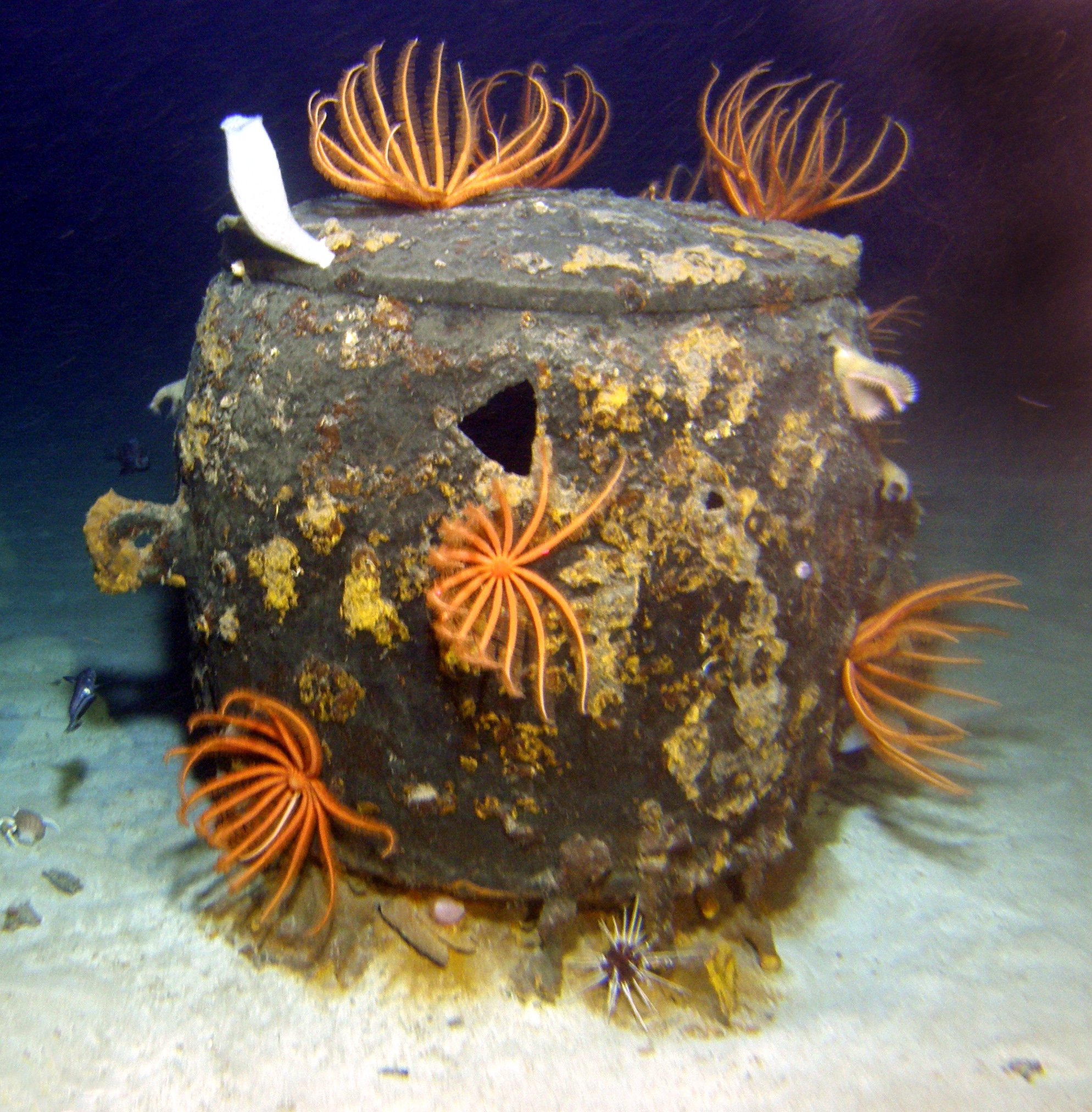 MISC-075: Large Buoy