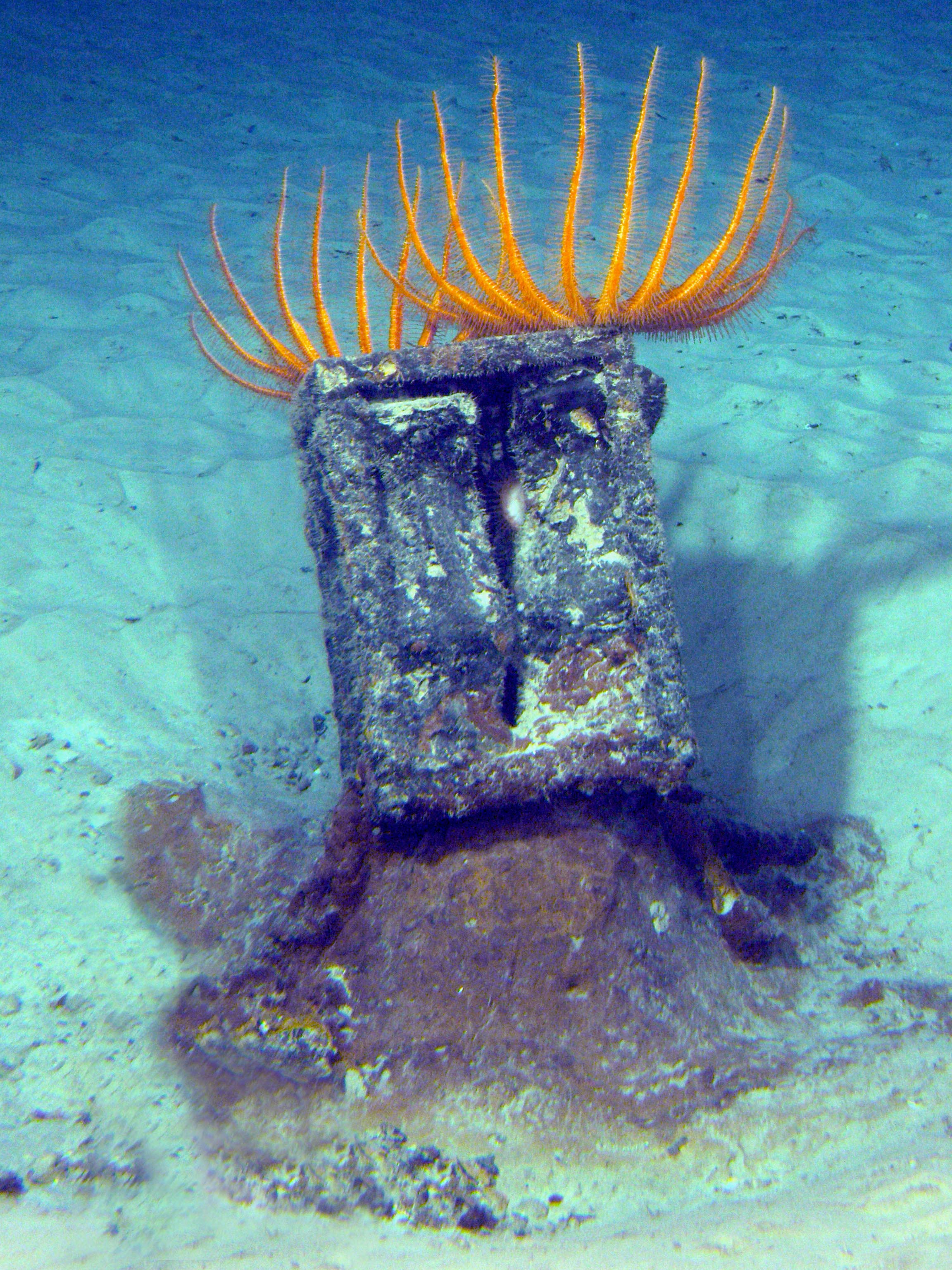 MISC-079: Leaking Box