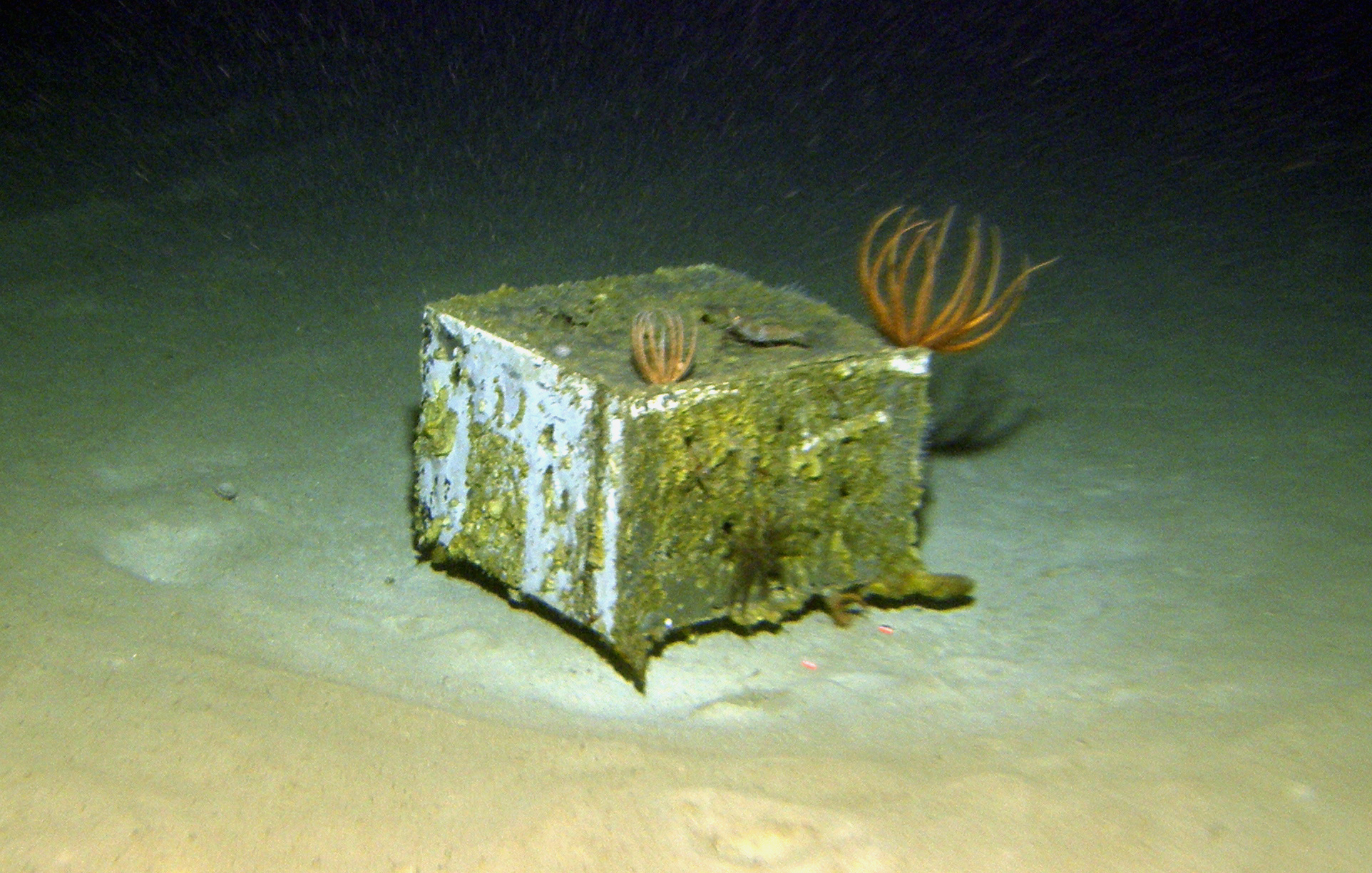 MISC-085: Metal Box