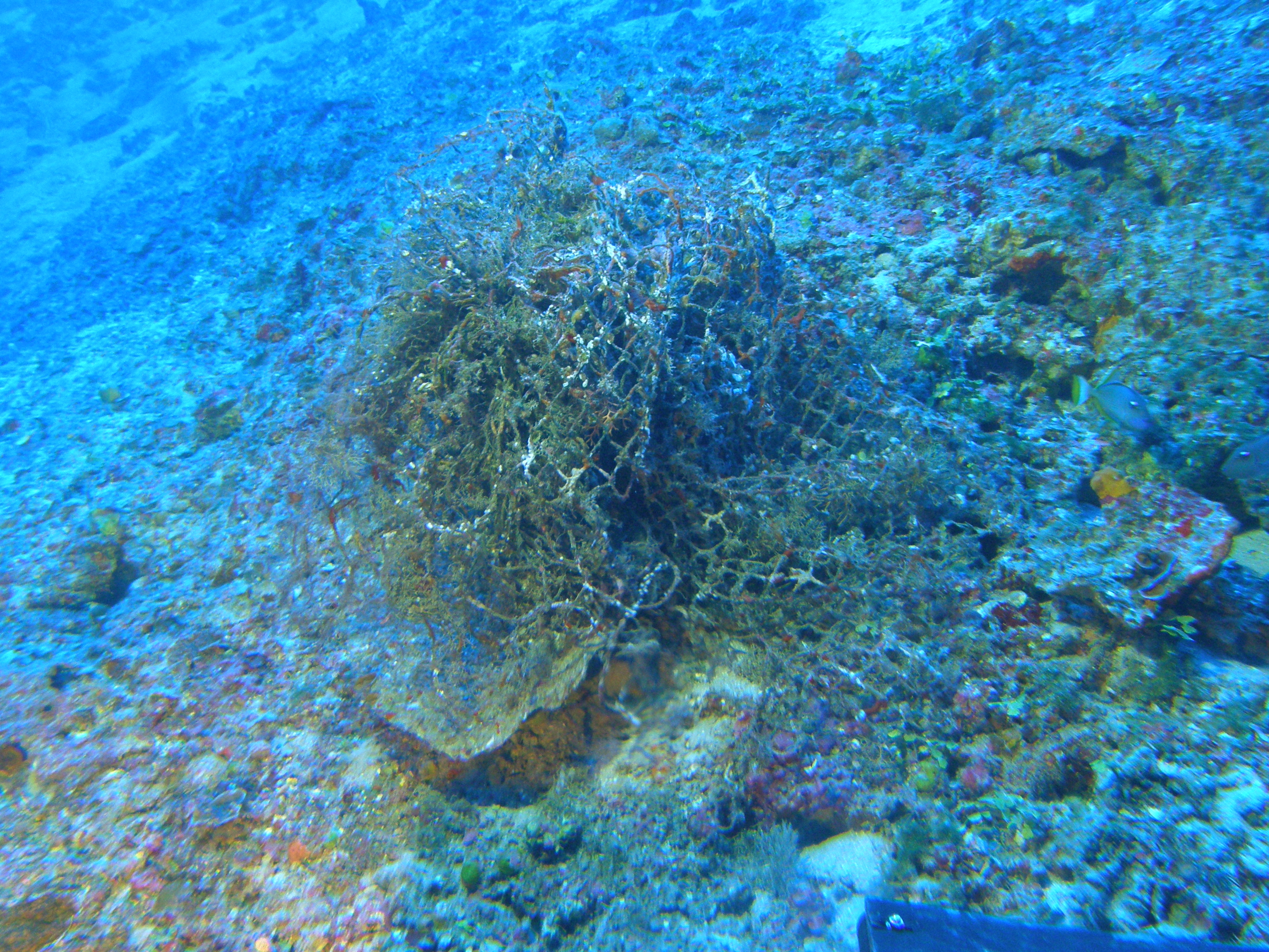 MISC-092: Net Pile