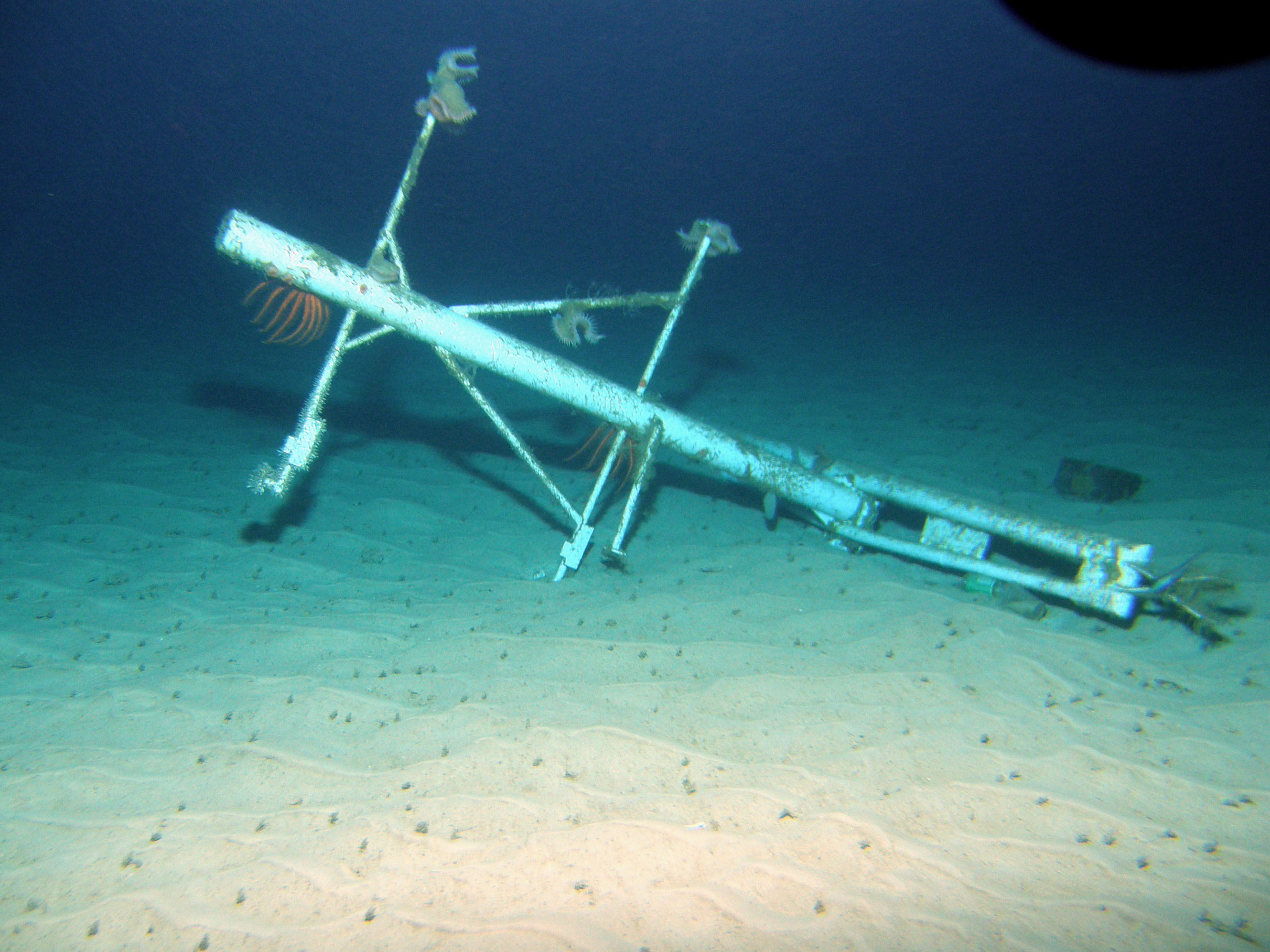 MISC-110: Ship Mast