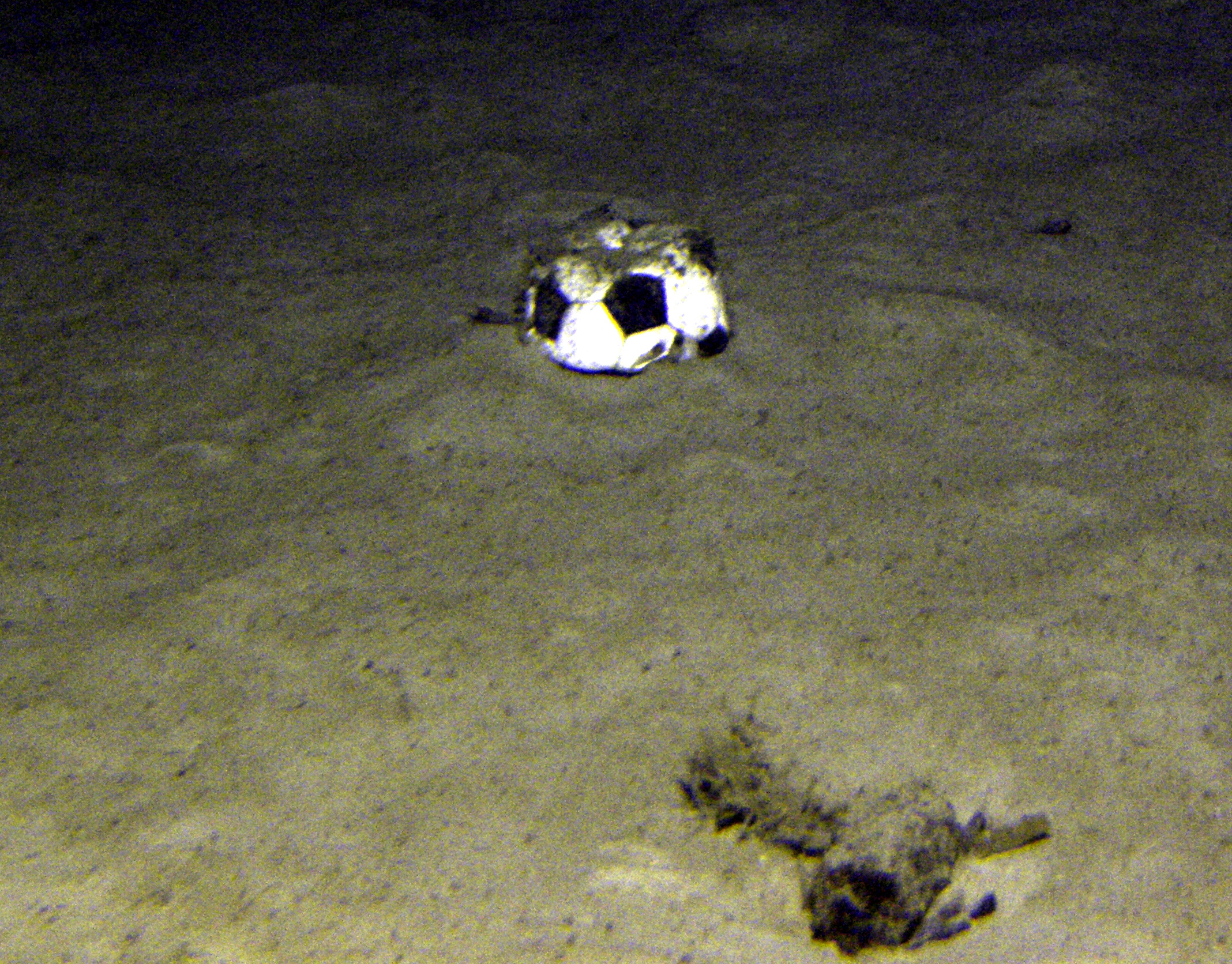 MISC-112: Soccer Ball