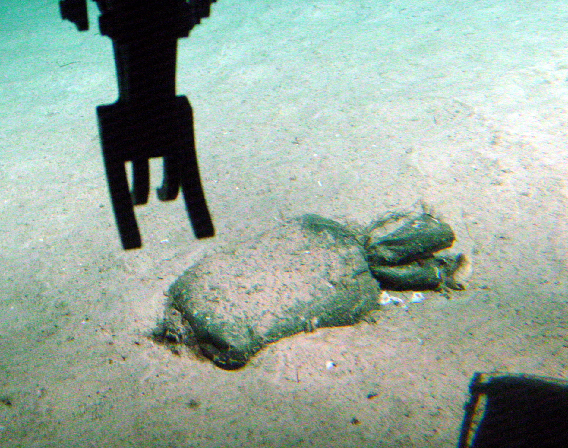 MISC-126: Tied Sack